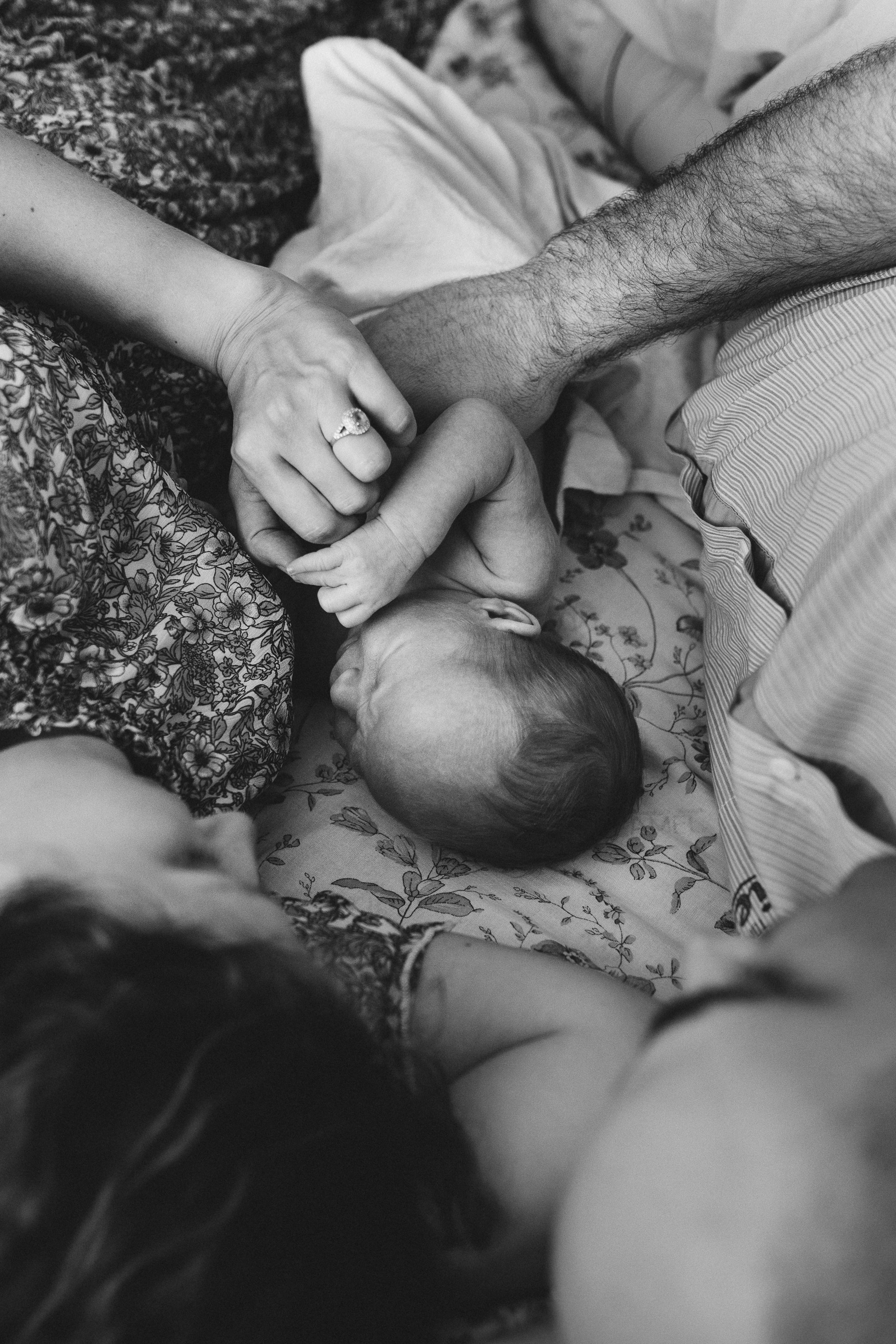 Лев родился!. Семейный и детский фотограф в Новосибирске и Краснообске — Анна Ким