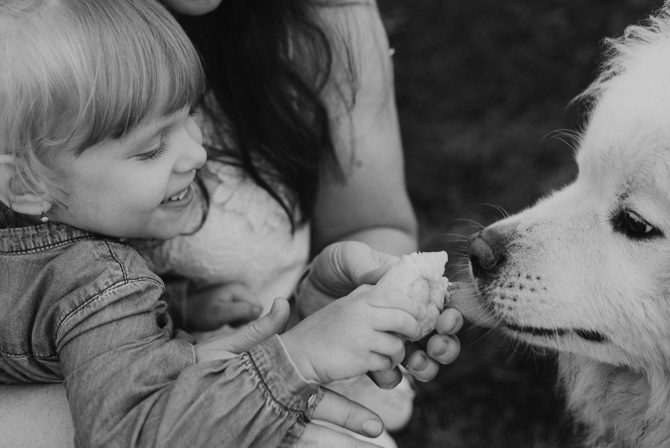Ира, Верочка и любимая бабушка Валя. Семейный и детский фотограф в Новосибирске и Краснообске — Анна Ким