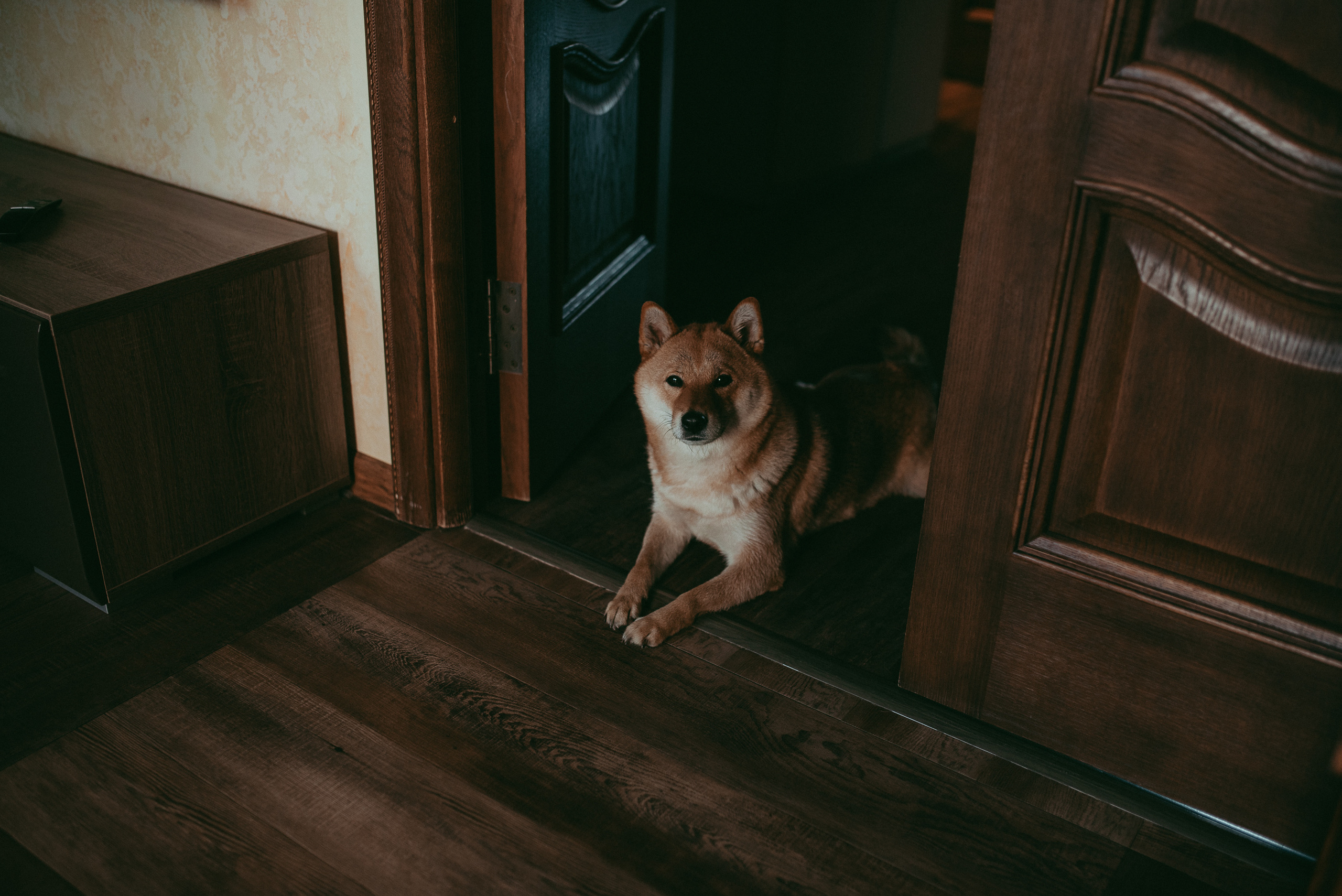 Лев родился!. Семейный и детский фотограф в Новосибирске и Краснообске — Анна Ким