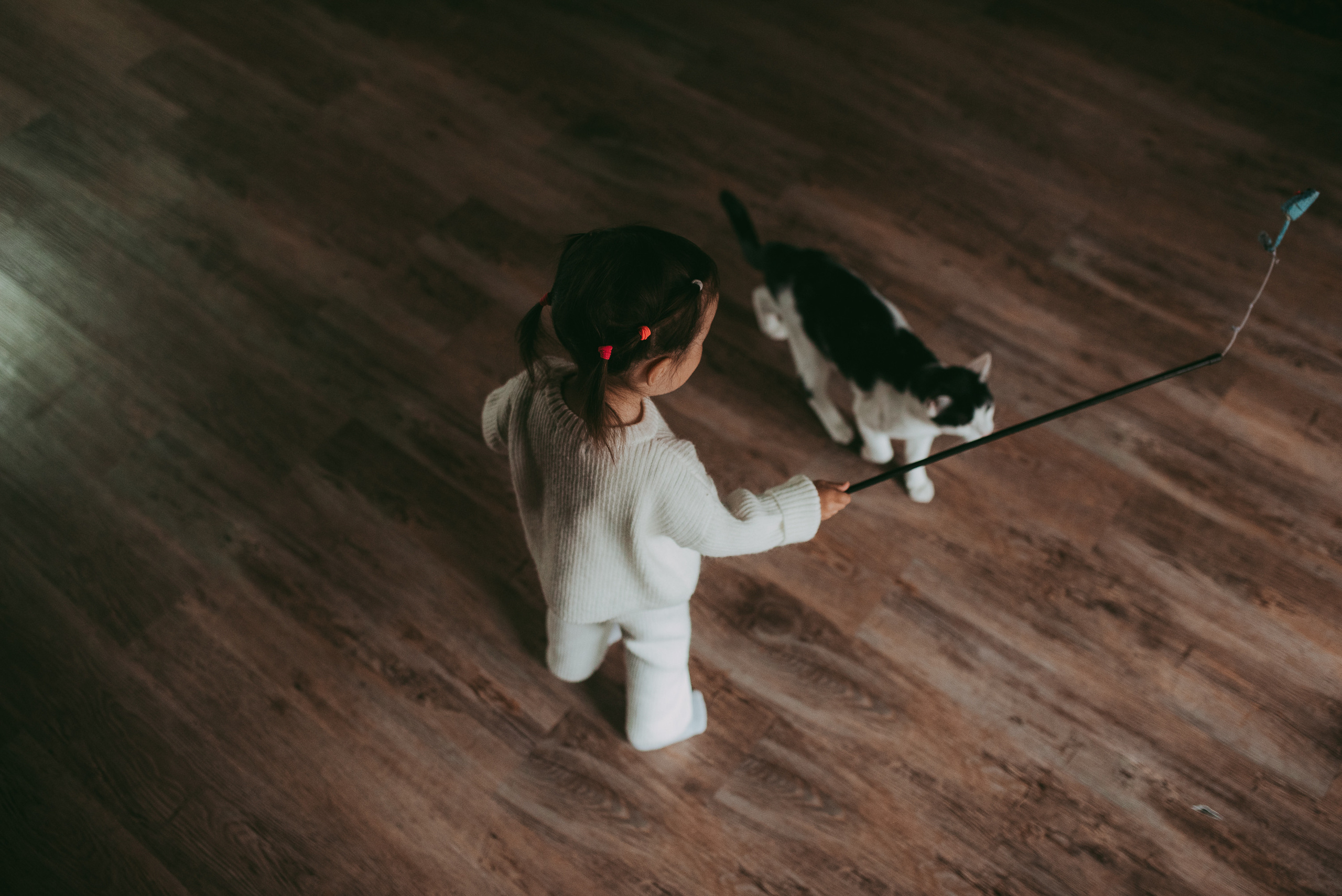 В гостях у котиков. Семейный и детский фотограф в Новосибирске и Краснообске — Анна Ким