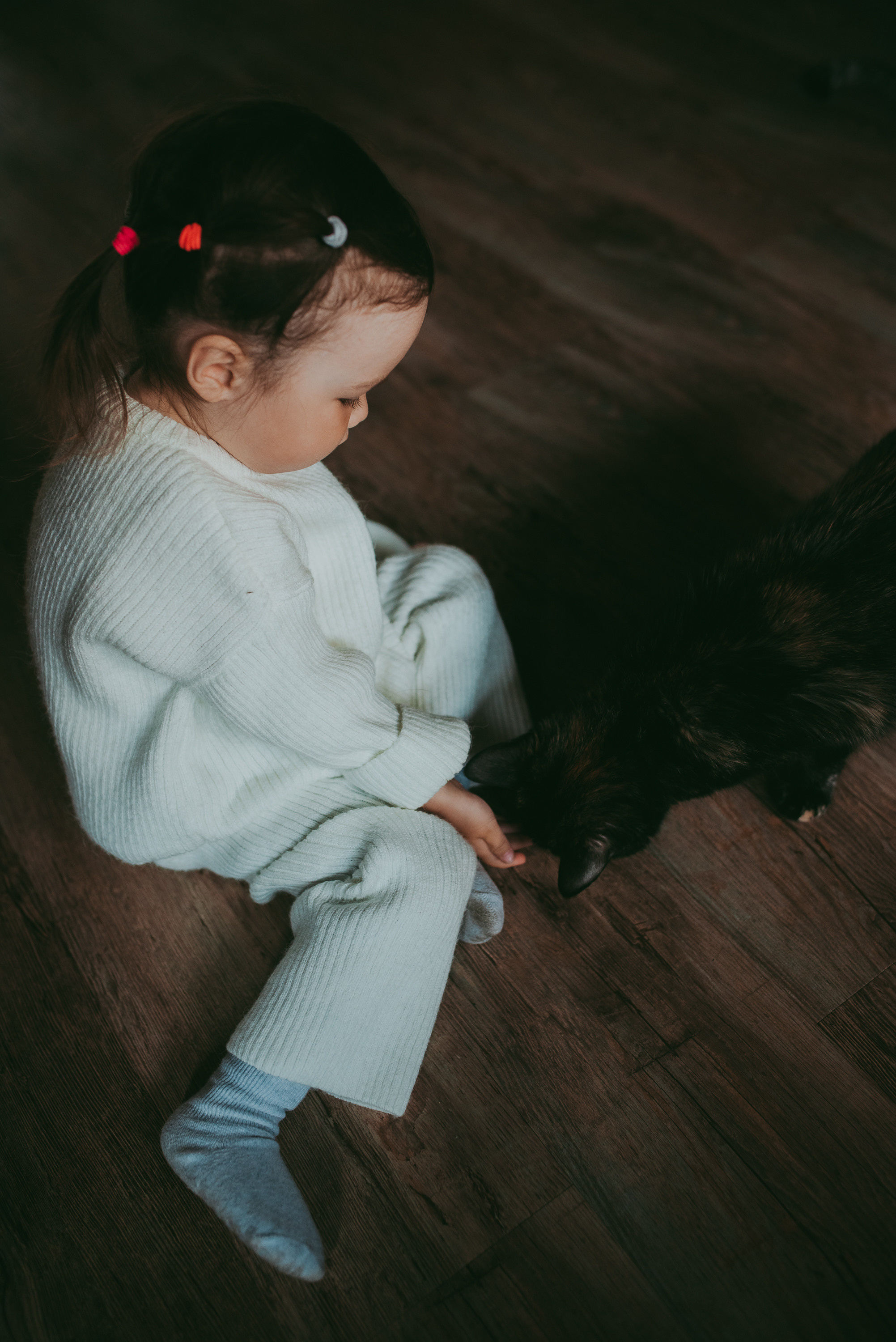 В гостях у котиков. Семейный и детский фотограф в Новосибирске и Краснообске — Анна Ким