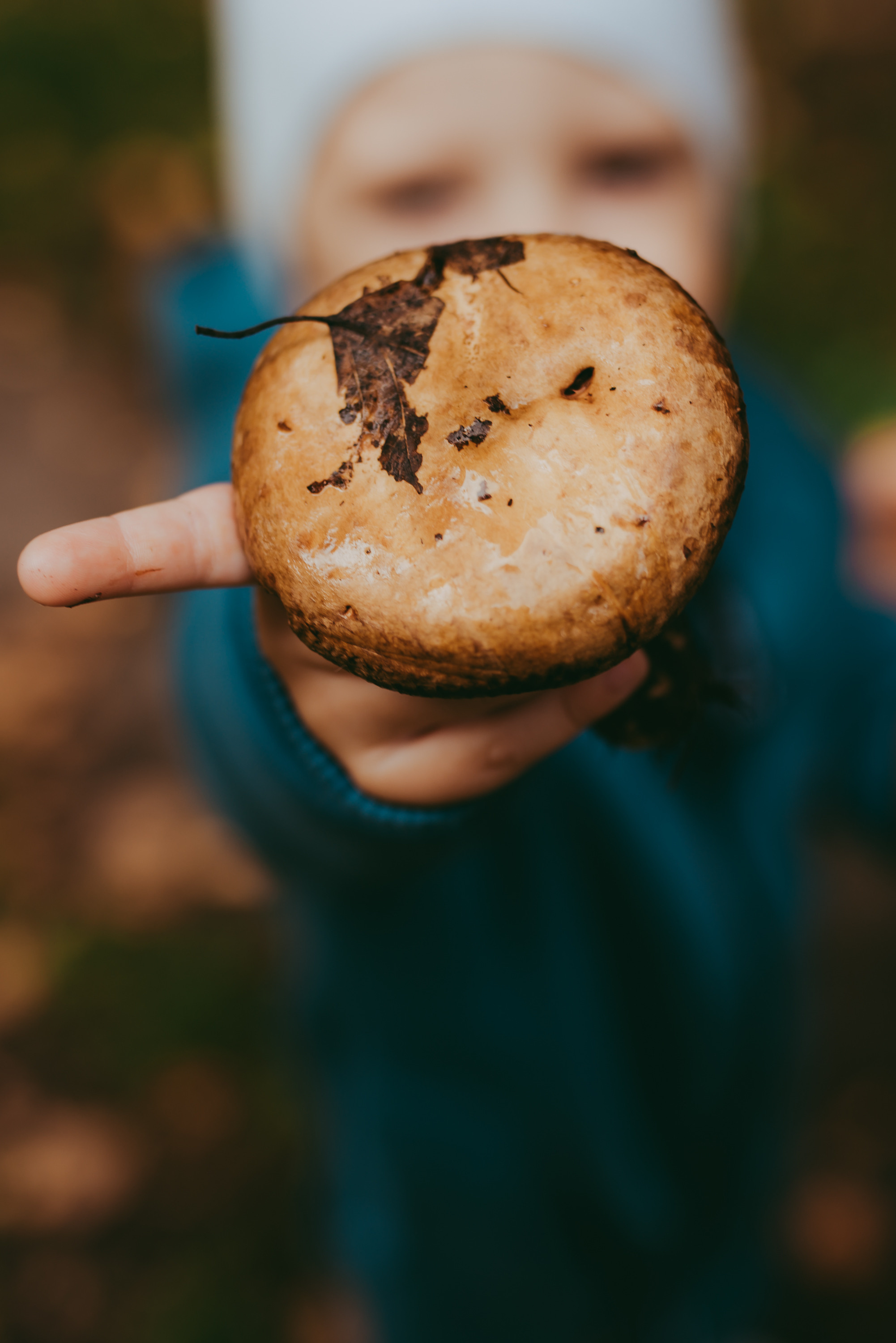 Фотопрогулка Lifestylе, Семейная фотопрогулка Краснообск, Новосибирск. Семейный и детский фотограф в Новосибирске и Краснообске — Анна Ким