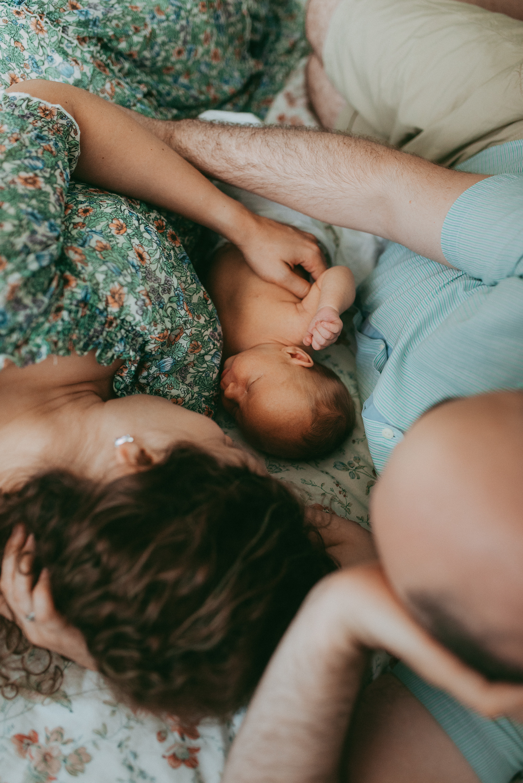 Лев родился!. Семейный и детский фотограф в Новосибирске и Краснообске — Анна Ким