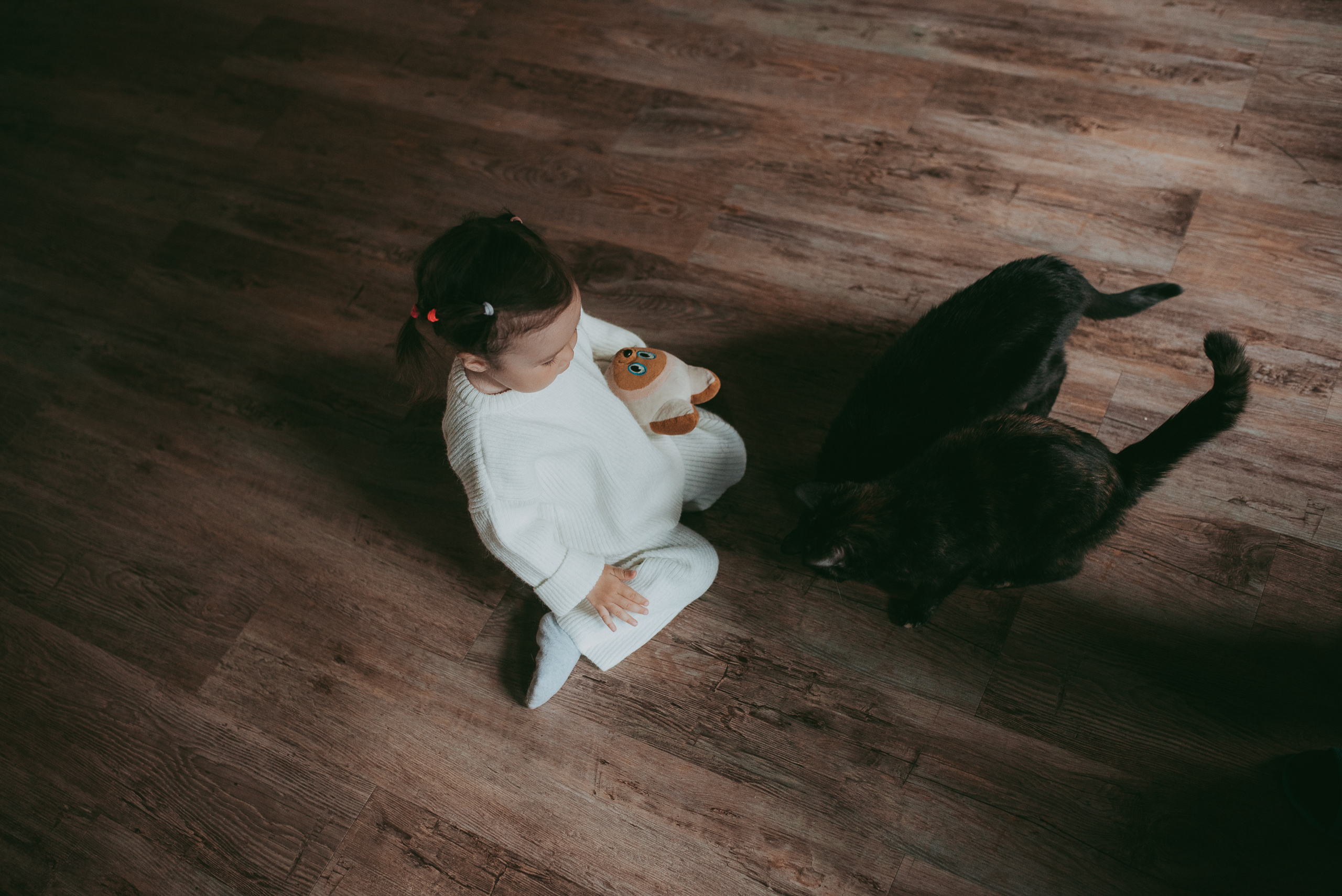 В гостях у котиков. Семейный и детский фотограф в Новосибирске и Краснообске — Анна Ким