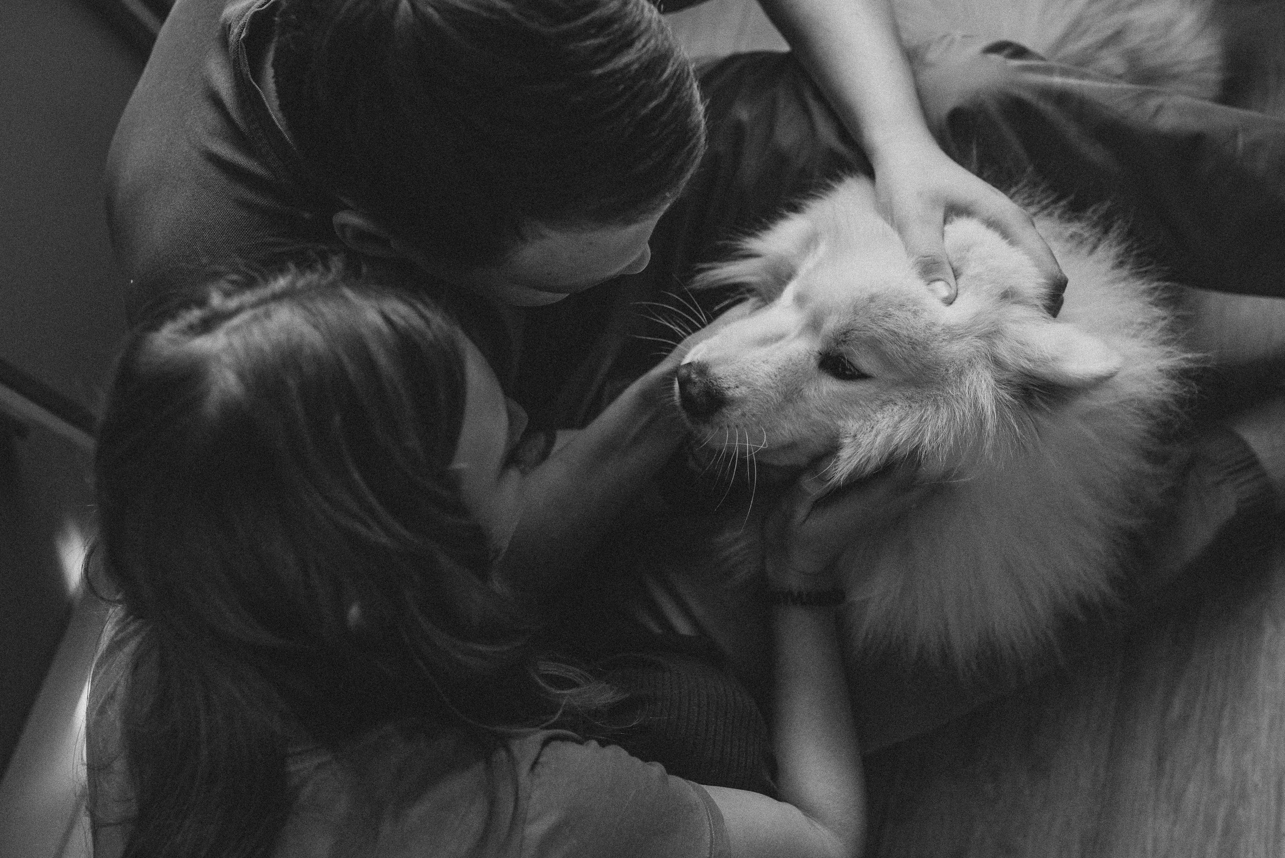 Про любовь. Семейный и детский фотограф в Новосибирске и Краснообске — Анна Ким