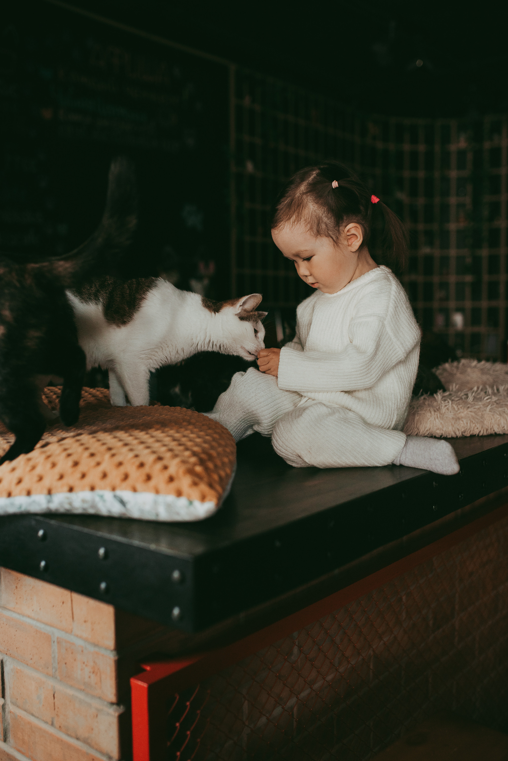 В гостях у котиков. Семейный и детский фотограф в Новосибирске и Краснообске — Анна Ким