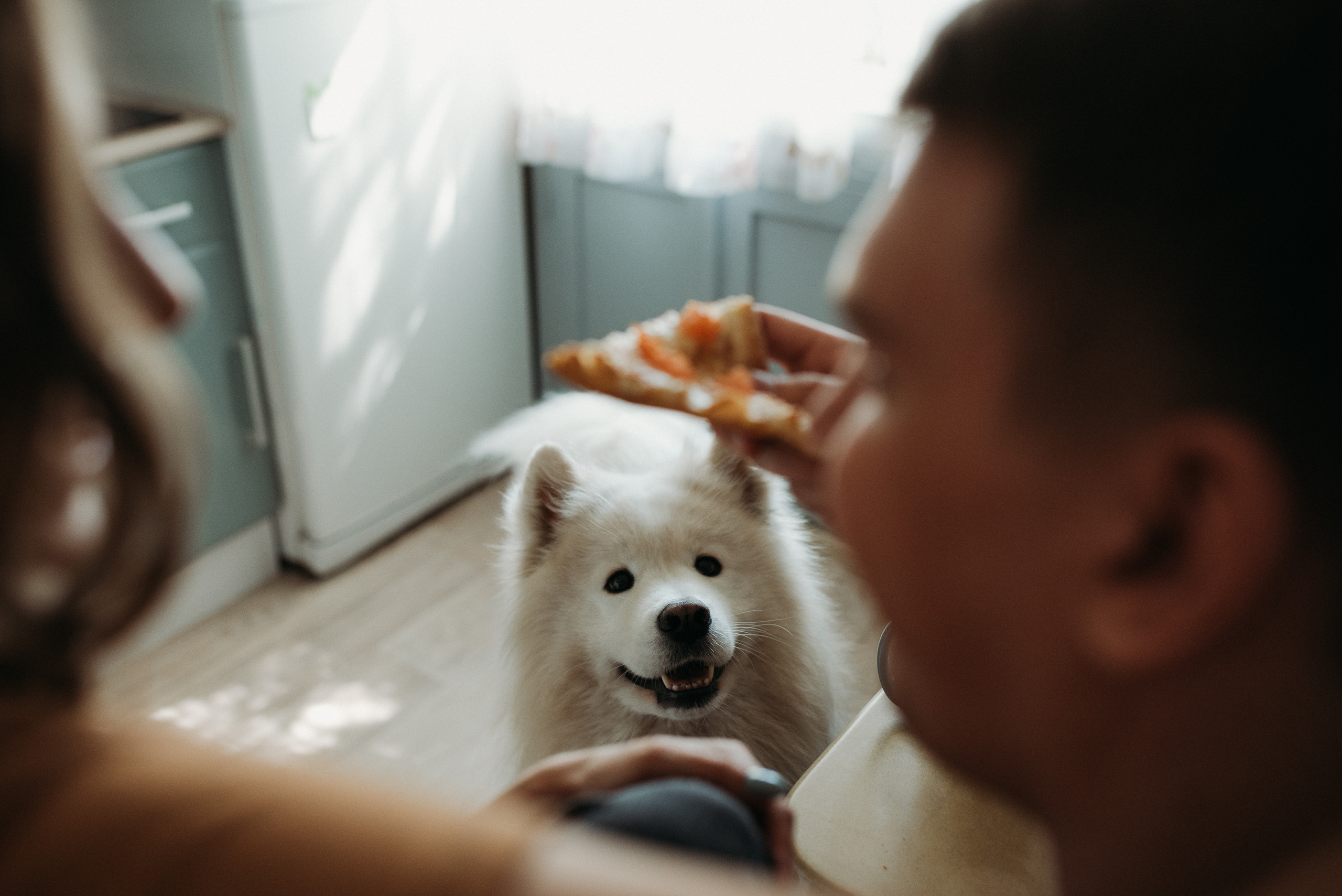 Про любовь. Семейный и детский фотограф в Новосибирске и Краснообске — Анна Ким