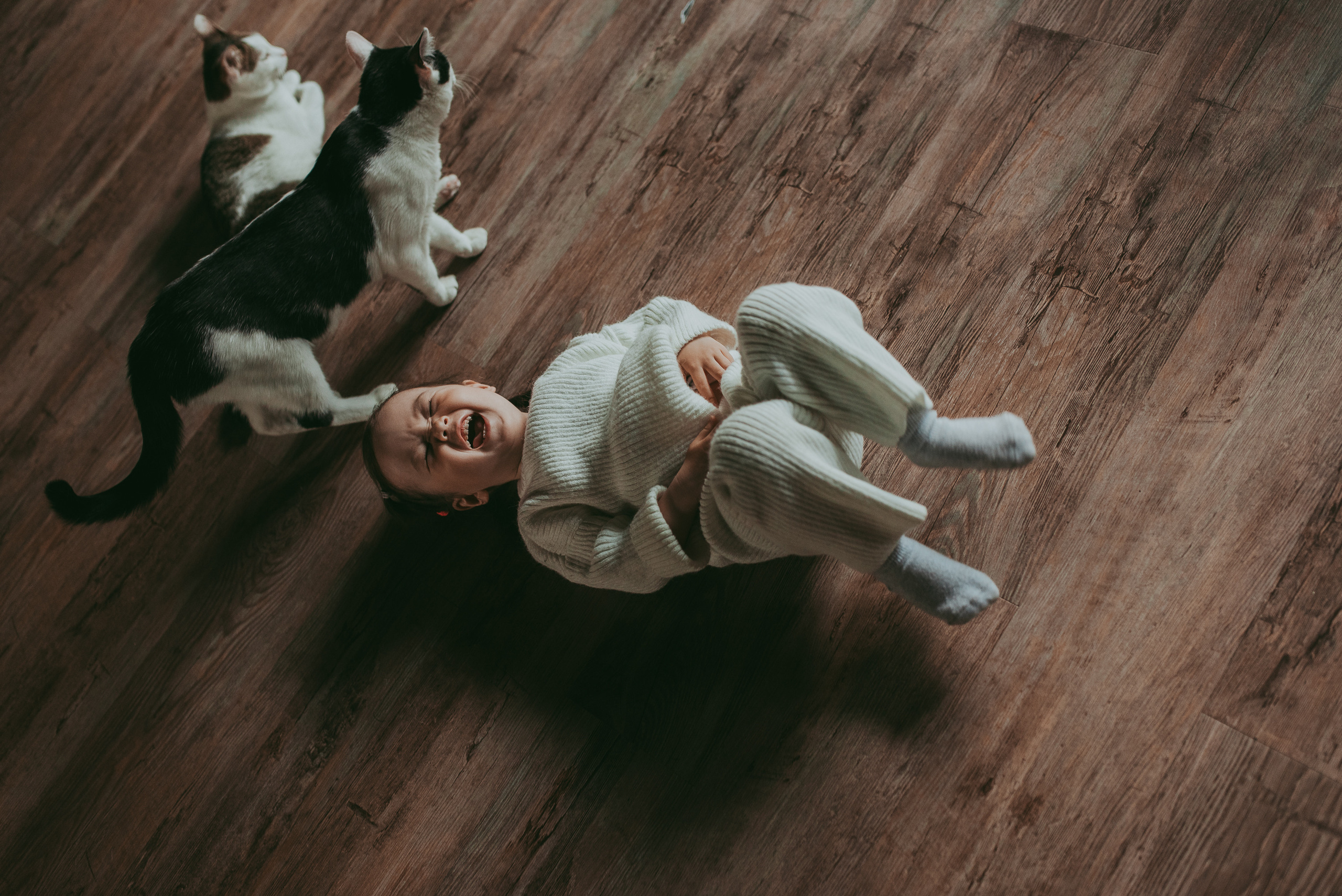 В гостях у котиков. Семейный и детский фотограф в Новосибирске и Краснообске — Анна Ким