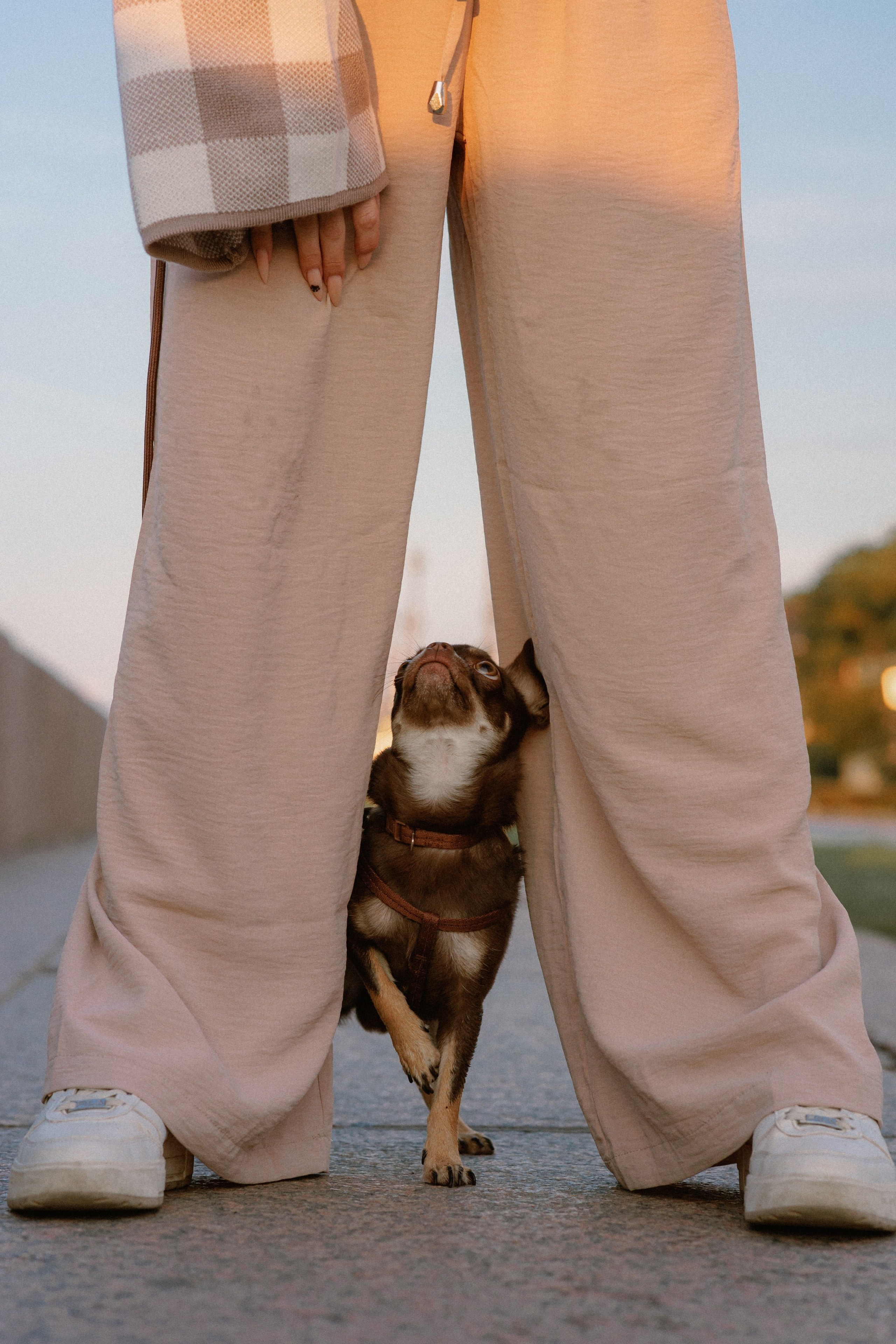 Анна и Хиппи. Фотограф в Санкт-Петербурге Алёна Губинская