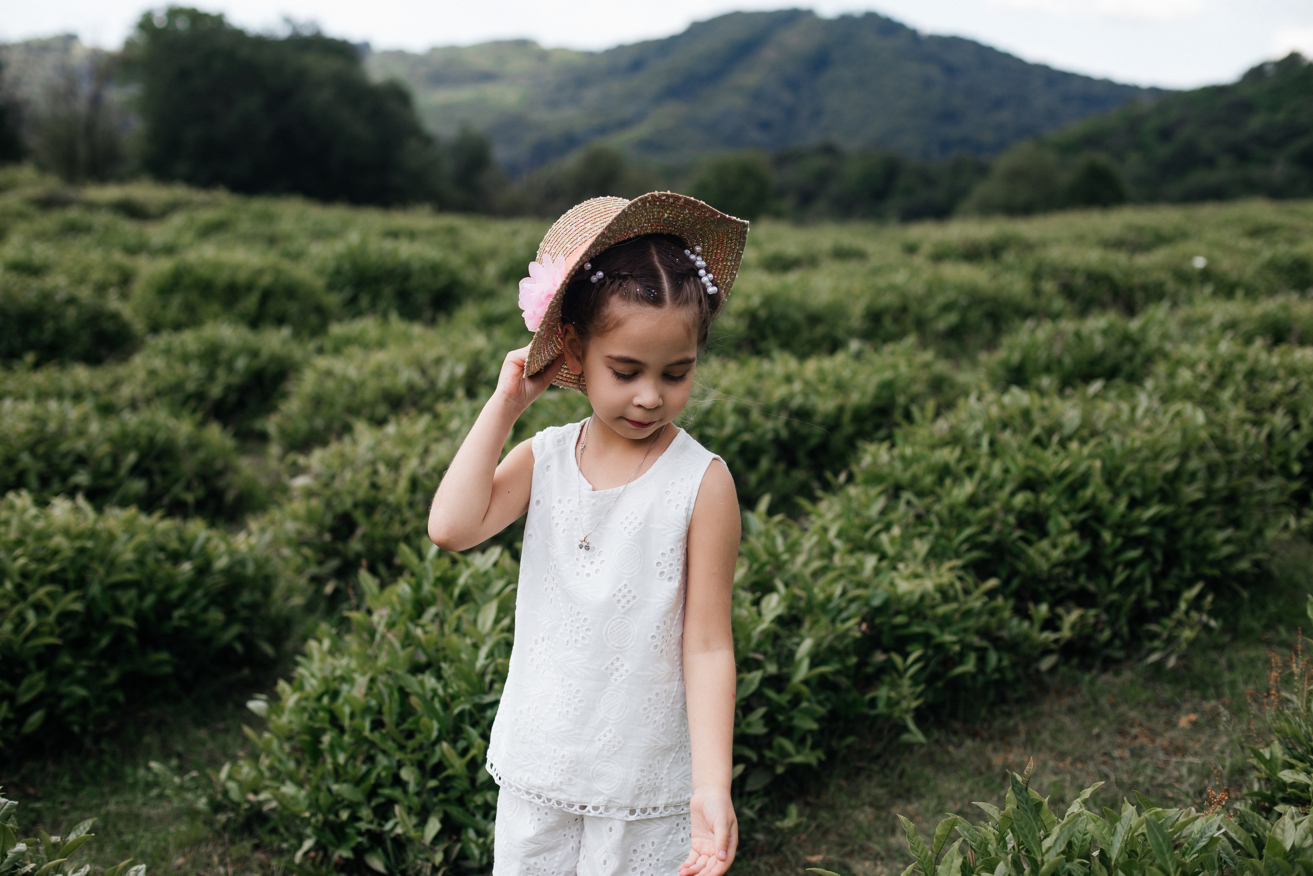 Tea plantation. Efimova Model Agency