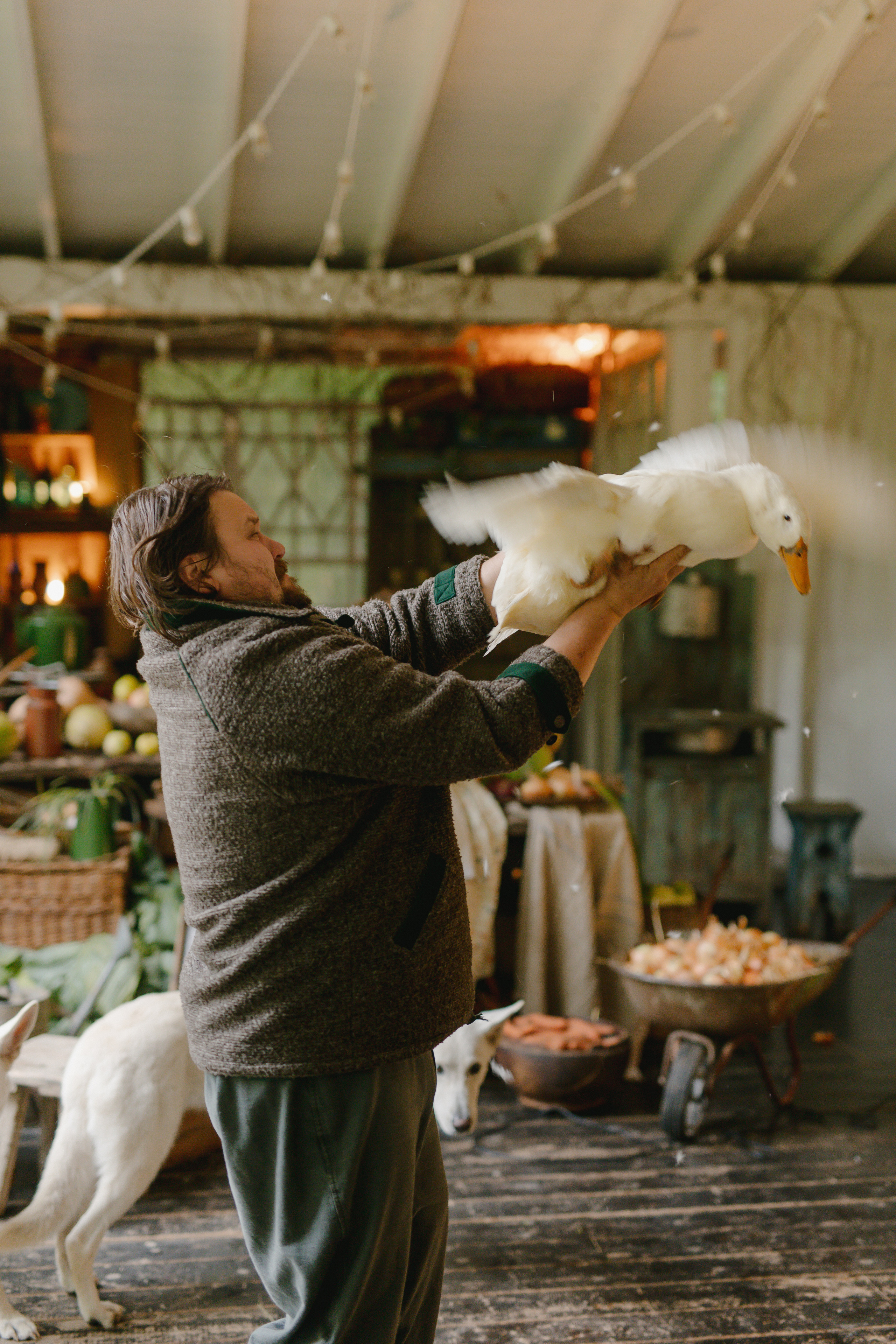 Тематический проект Капуста. Главная
