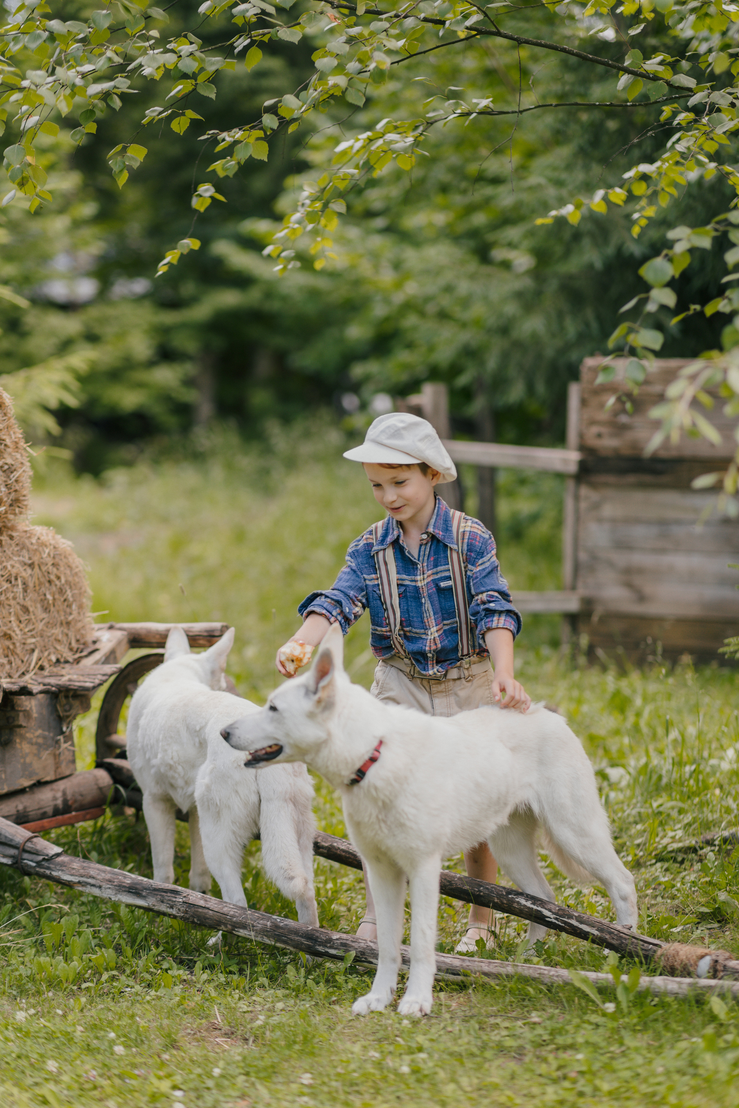 Том Сойер. Главная
