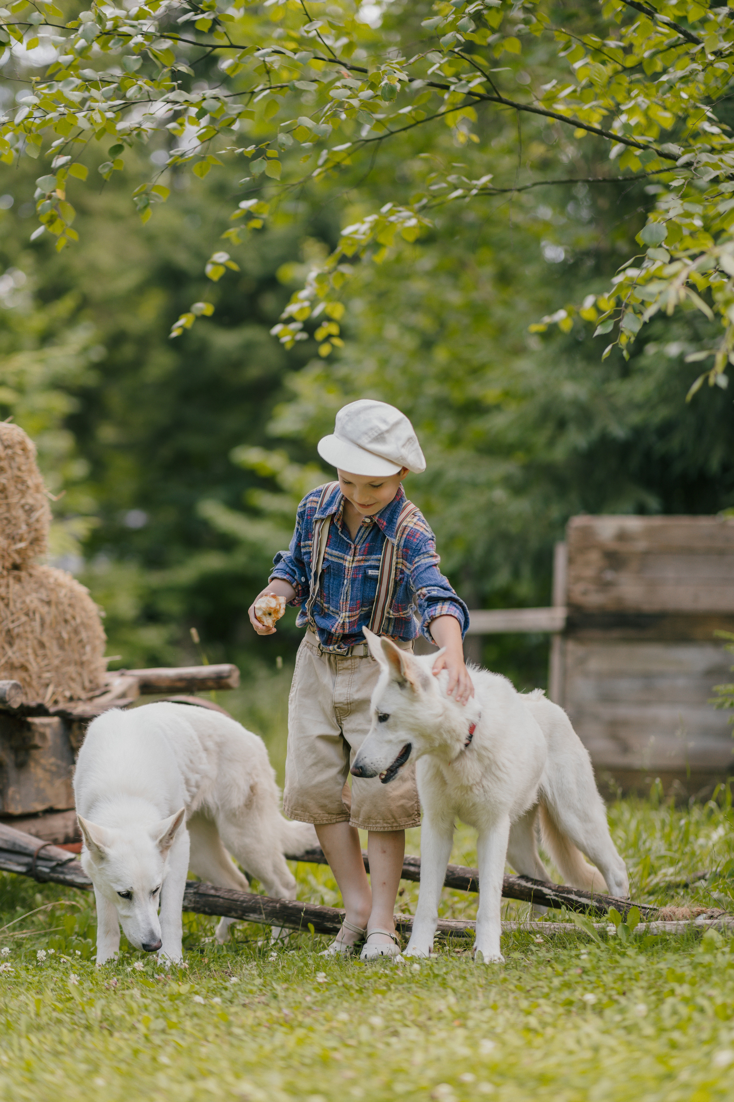 Том Сойер. Главная