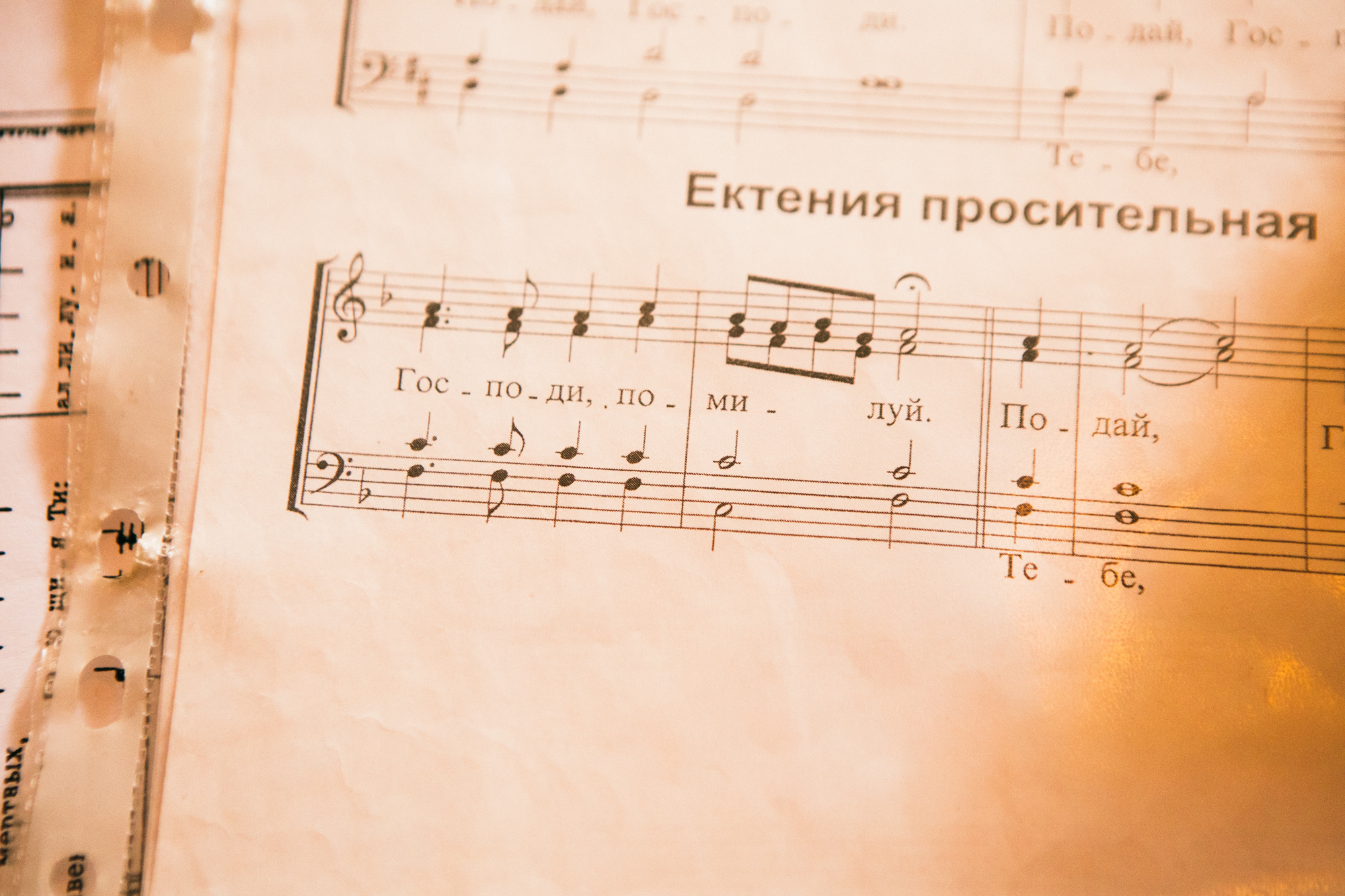 Евгений и Елизавета. Фотограф в Москве Павлова Ксения