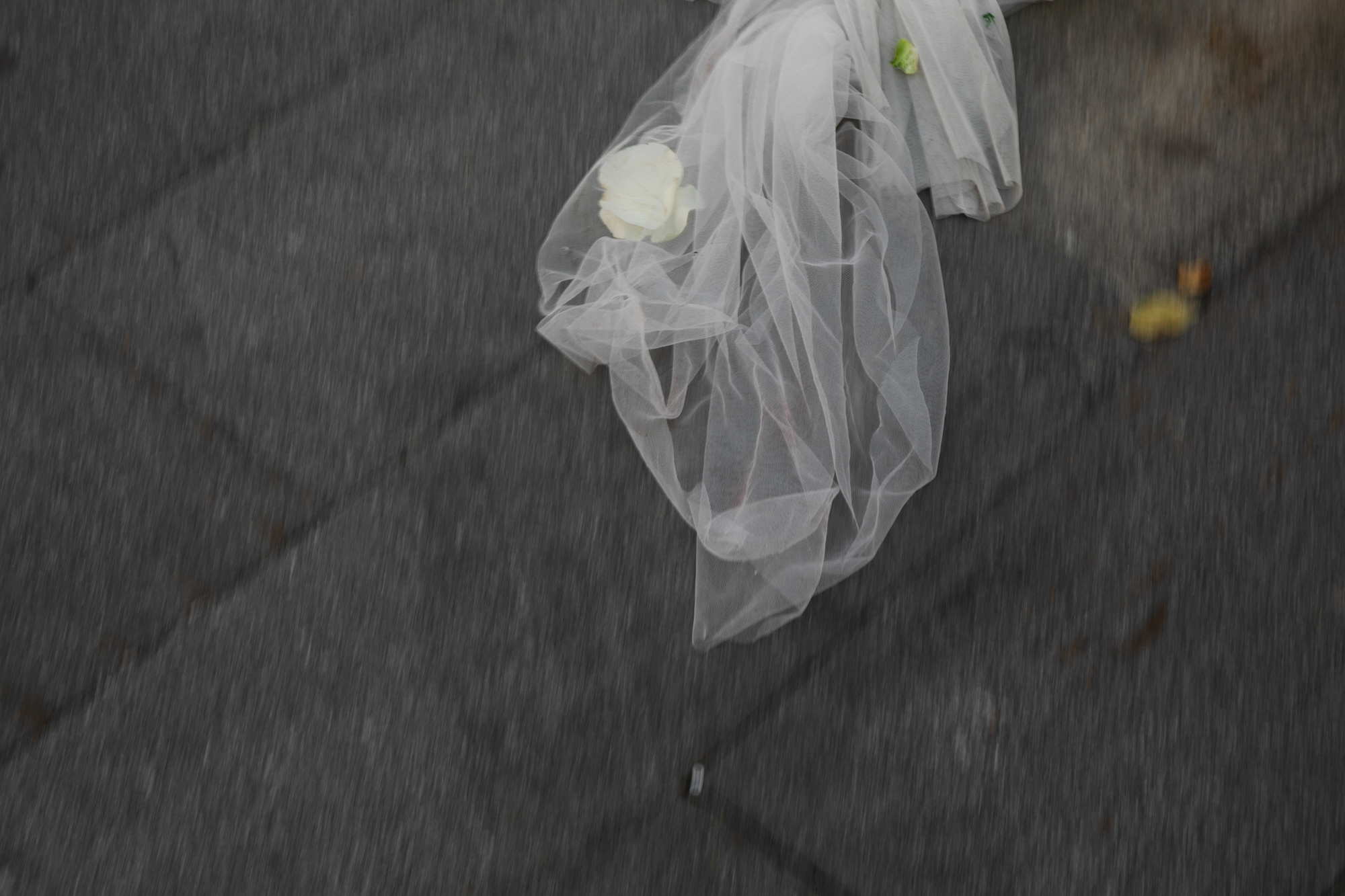 Евгений и Елизавета. Фотограф в Москве Павлова Ксения