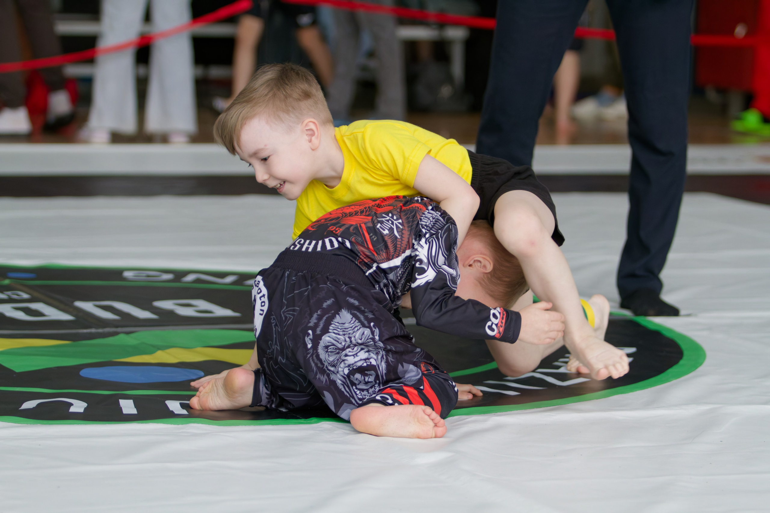 Борьба. Джиу-джитсу 26.04.2025. Репортажный и спортивный фотограф в г. Пермь Зильберг Павел