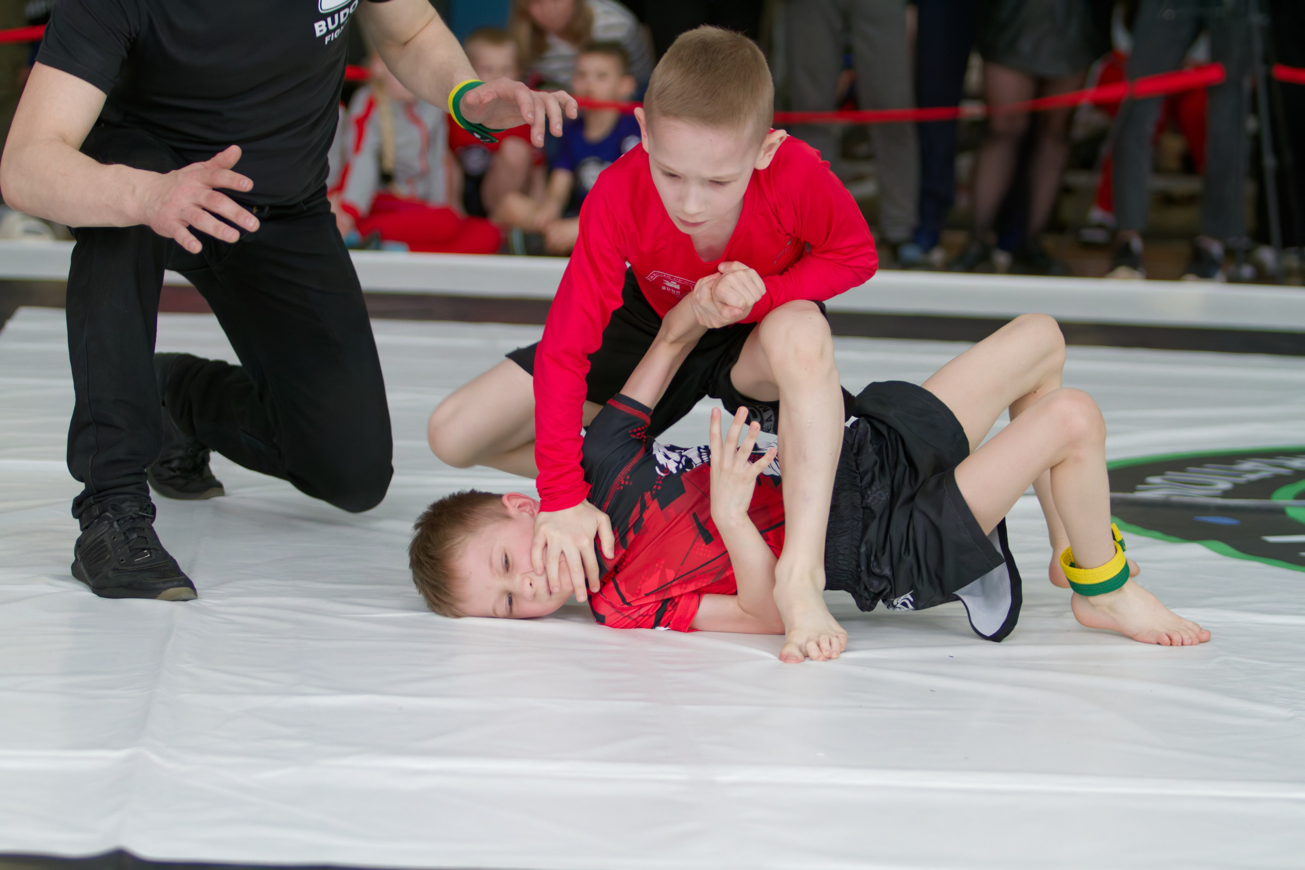Борьба. Джиу-джитсу 26.04.2025. Репортажный и спортивный фотограф в г. Пермь Зильберг Павел