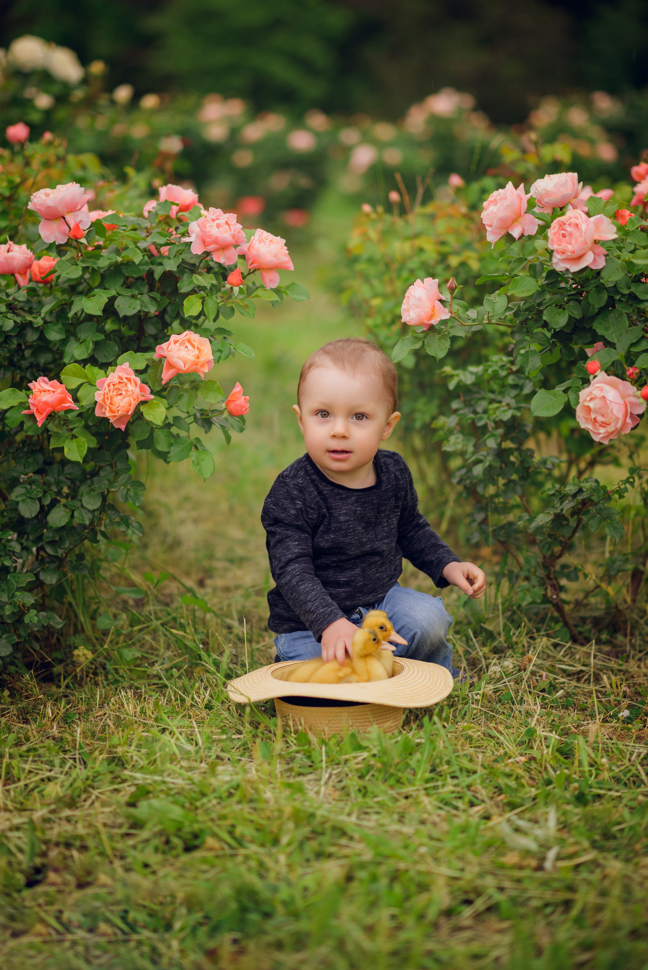 В розах. Семейный фотограф в Краснодаре