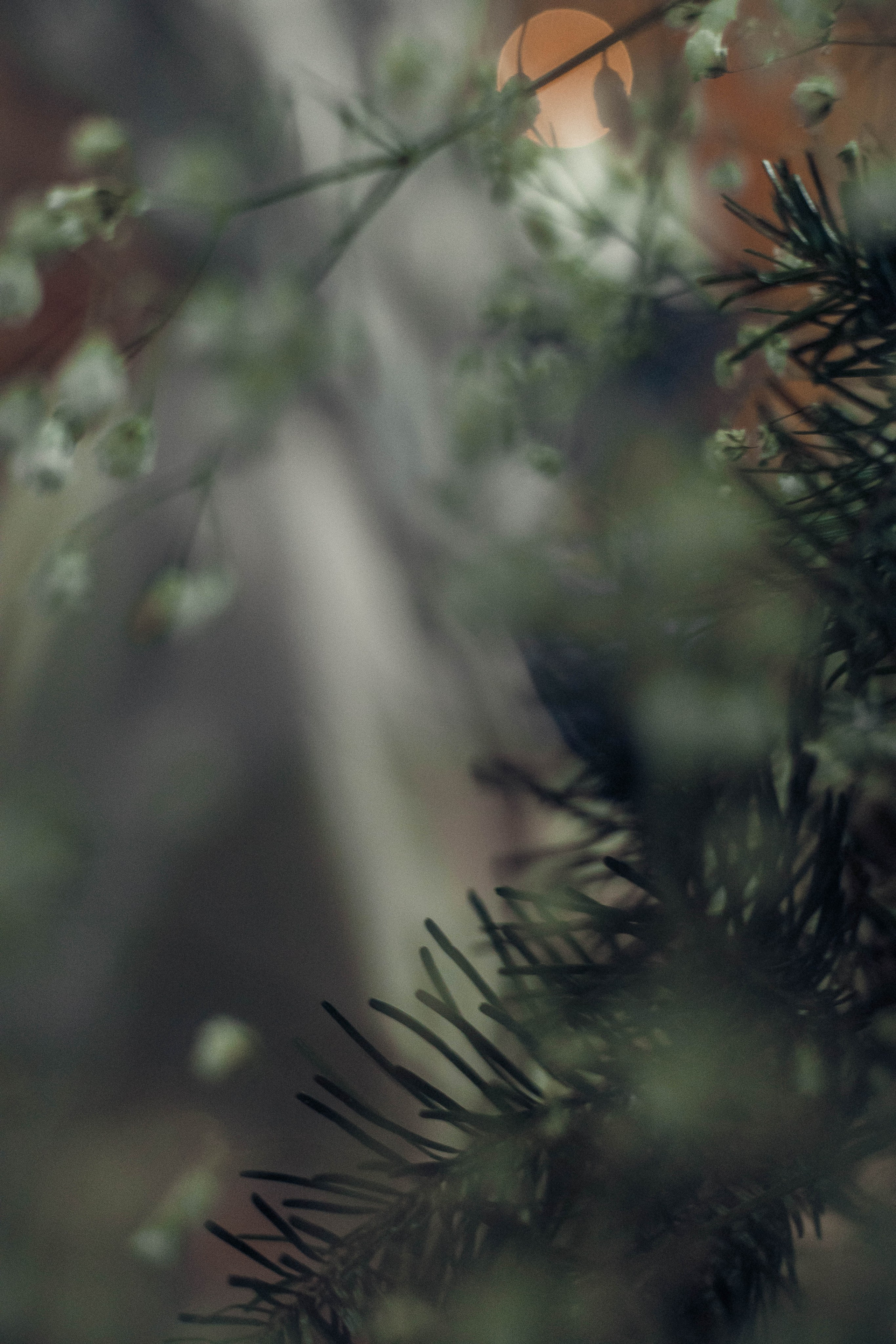 Рождество Христово. Артеменкова Анна Фотограф