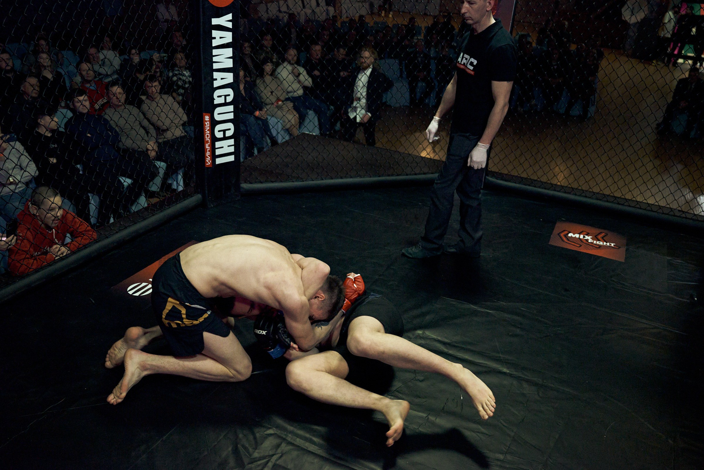 Бои. Маляревич Дмитрий свадебный фотограф