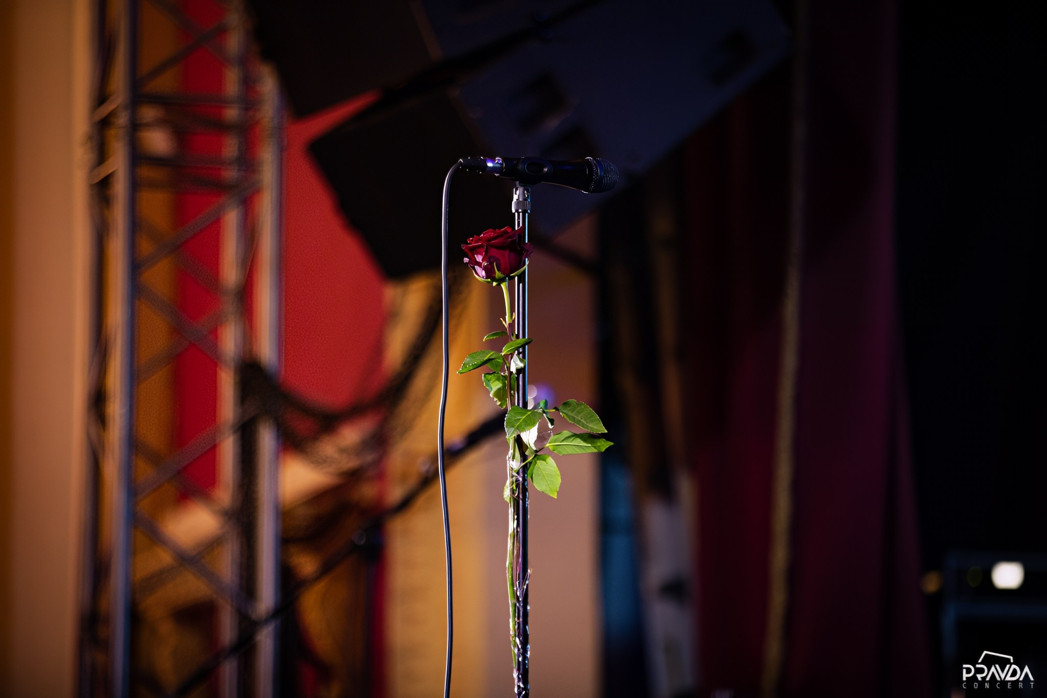 Концертная сьемка. Репортажный фотограф