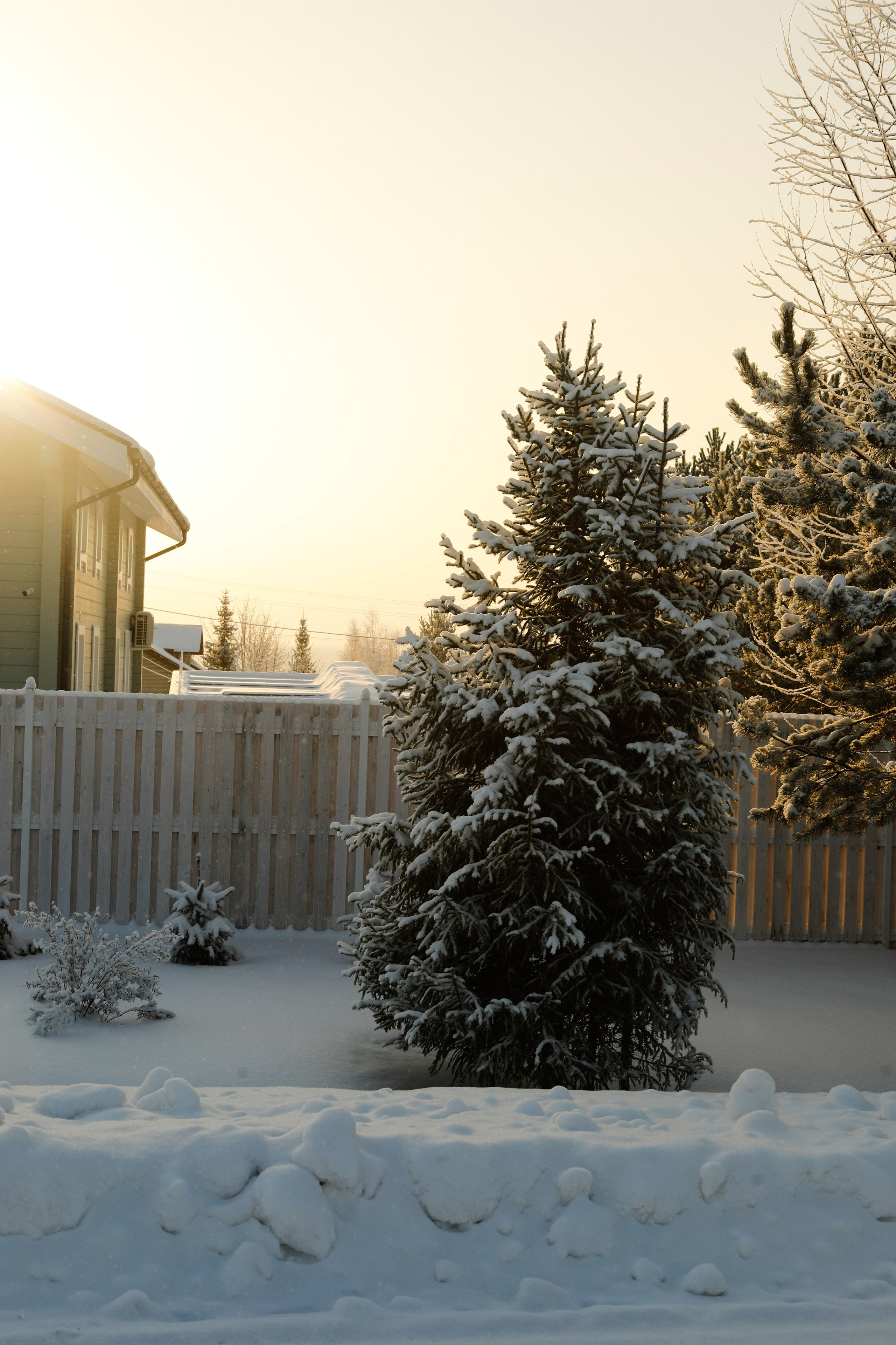 WINTER. Фотограф в Вологде Евгения Ли