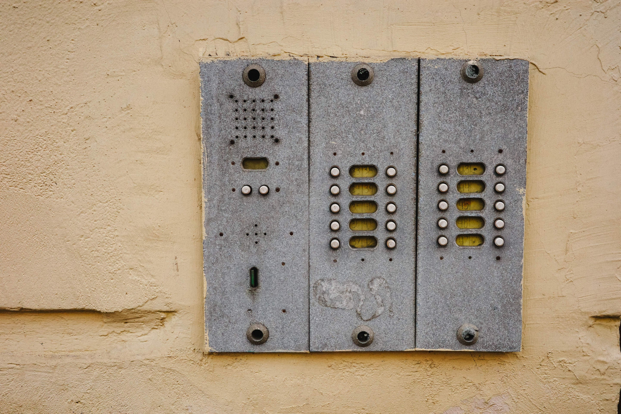 2024.11. Фотограф Алексей Алексеев