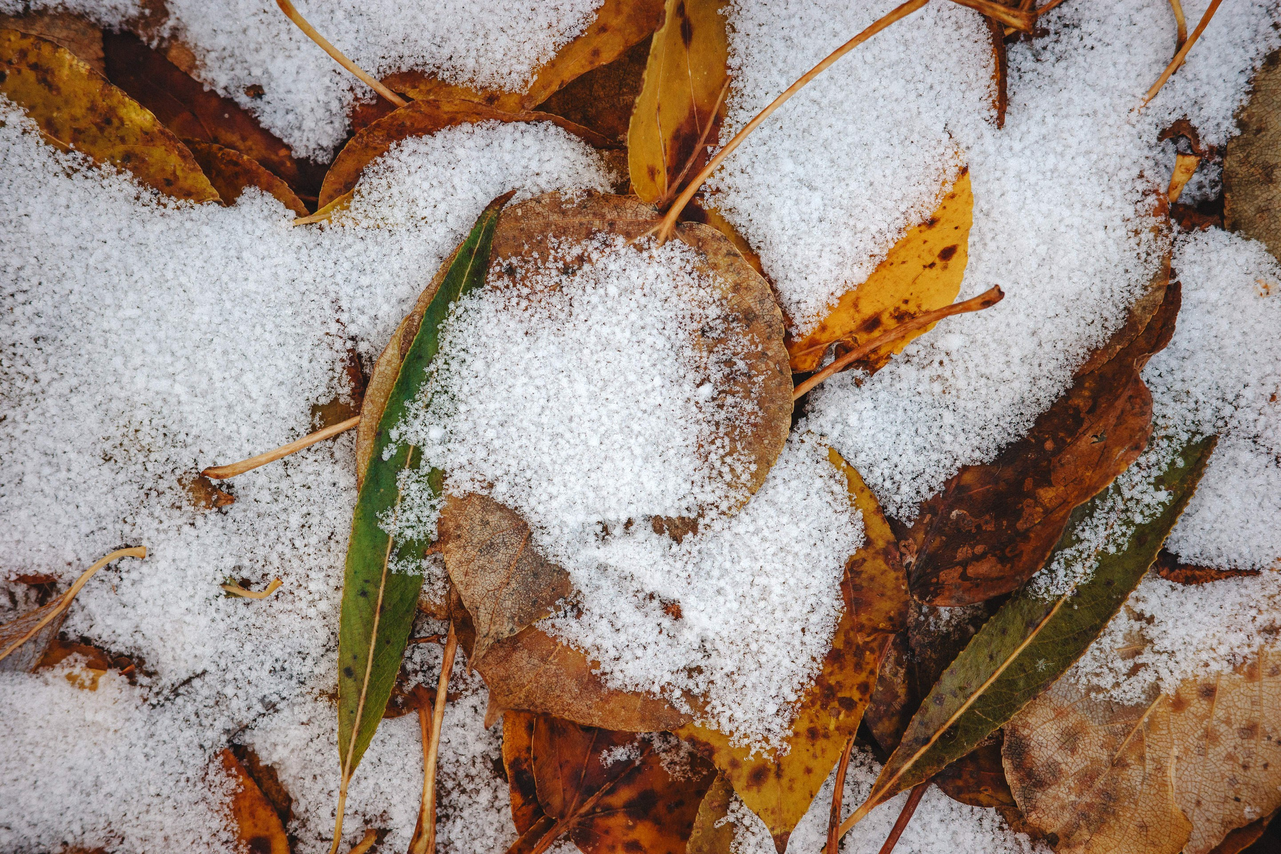 2023.11. Фотограф Алексей Алексеев
