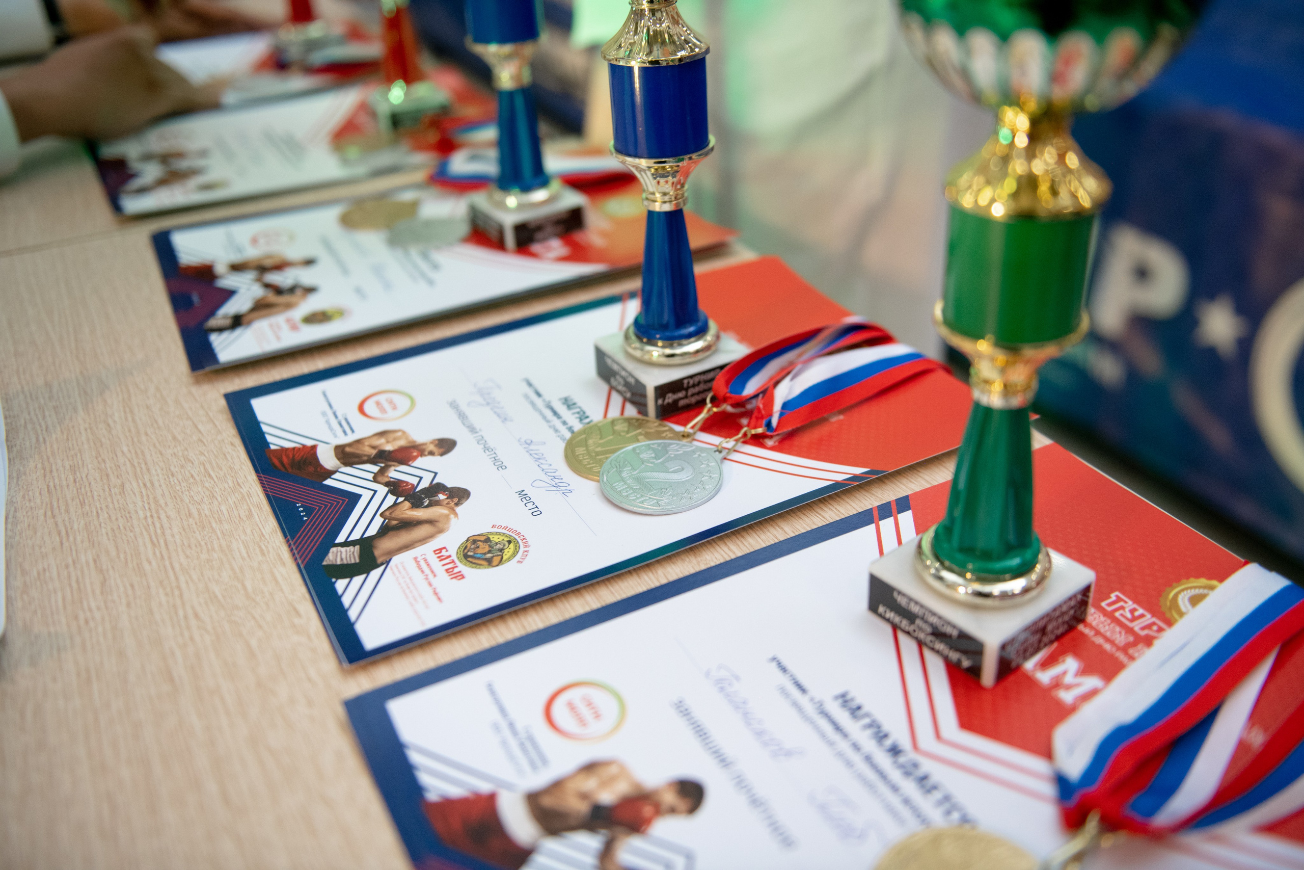 Турнир по боевым искусствам в ТЦ «Сити Молл». Репортажный фотограф в Стерлитамаке Дмитрий Соколов