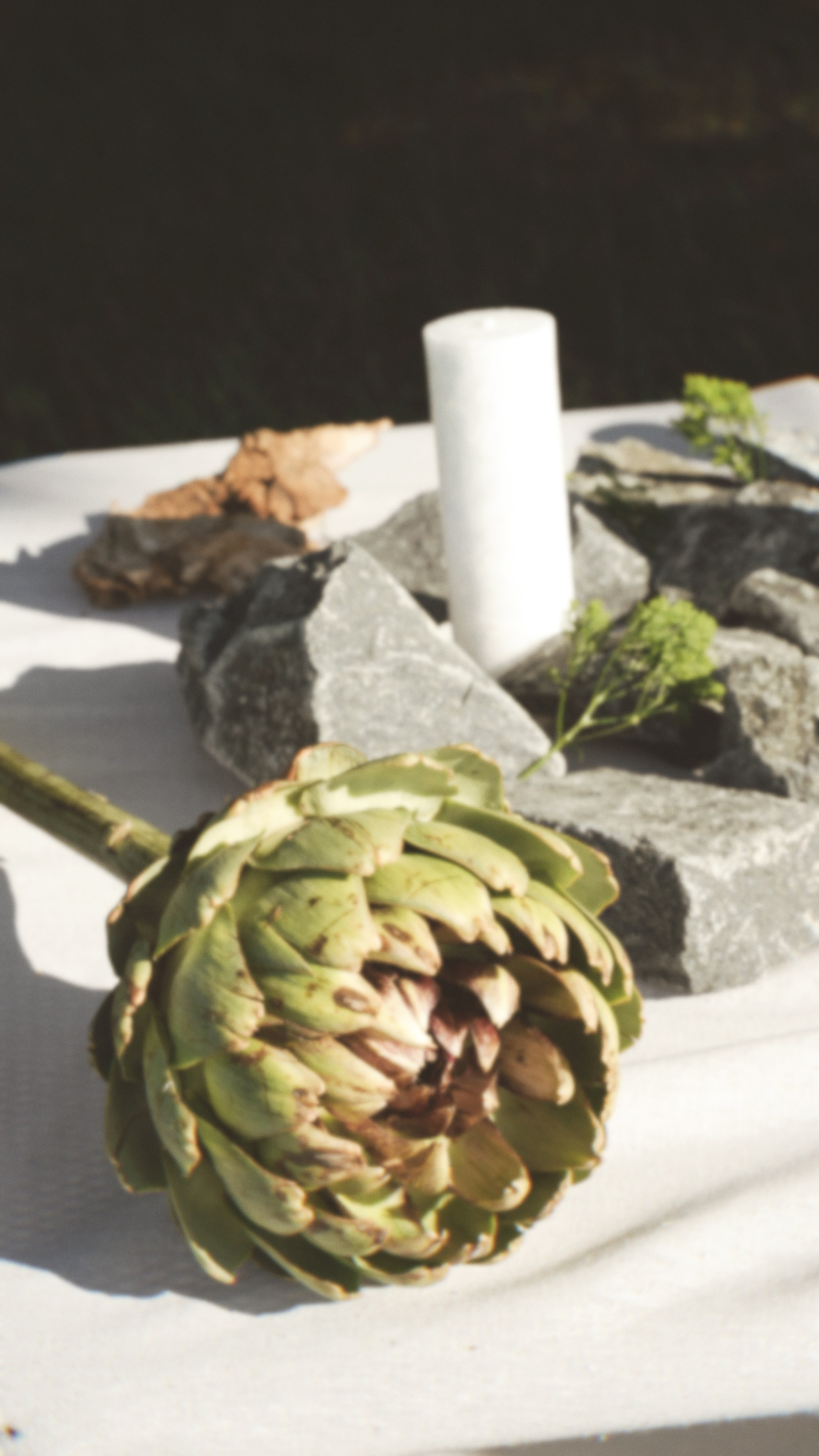 СЕЛЬСКИЙ VOGUE. Кристина Полянская, Видеограф/фотограф Старый Оскол/Воронеж