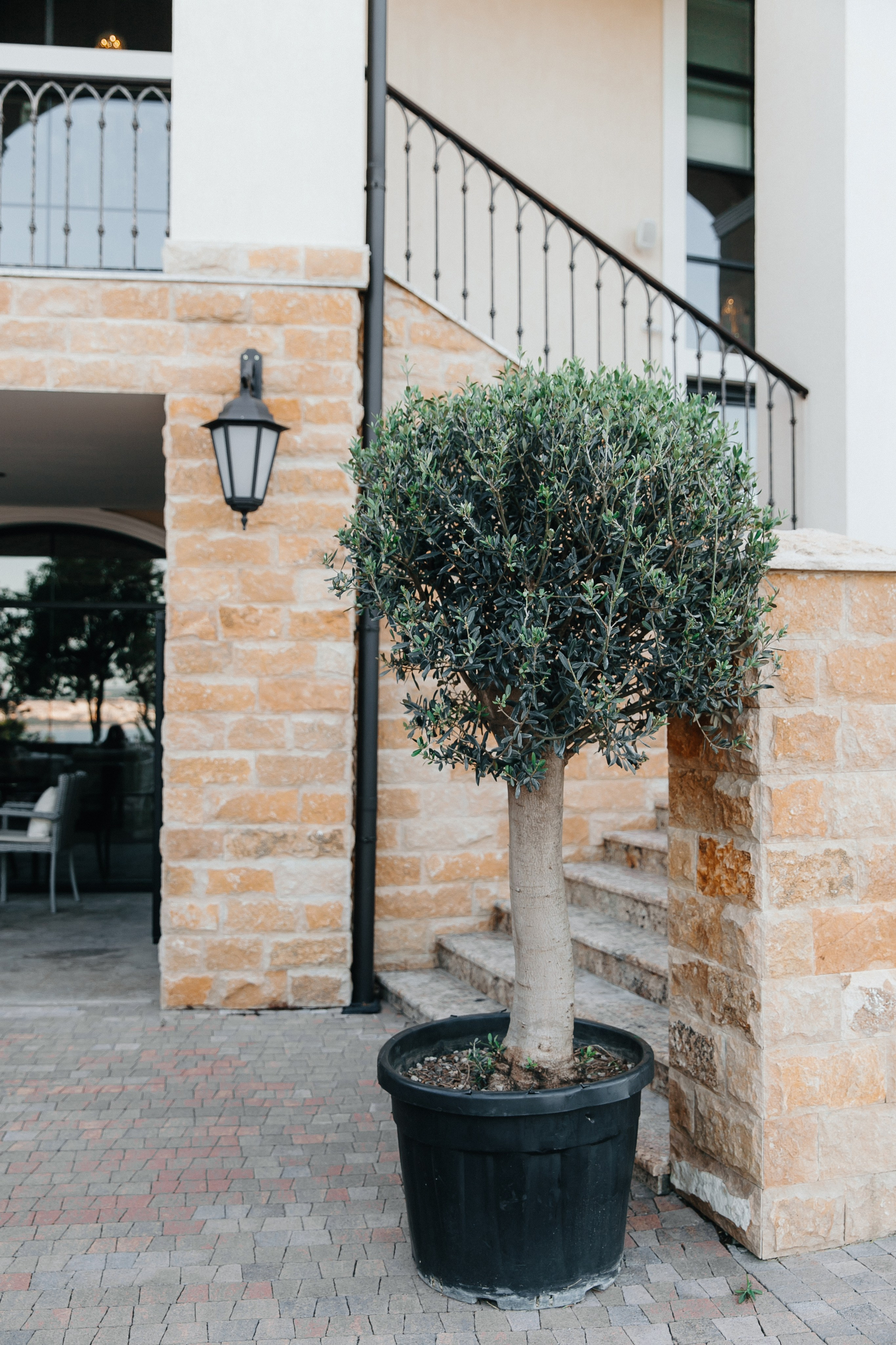 Регина и Никита. Свадебный фотограф и видеограф Когай Дмитрий и Юлия