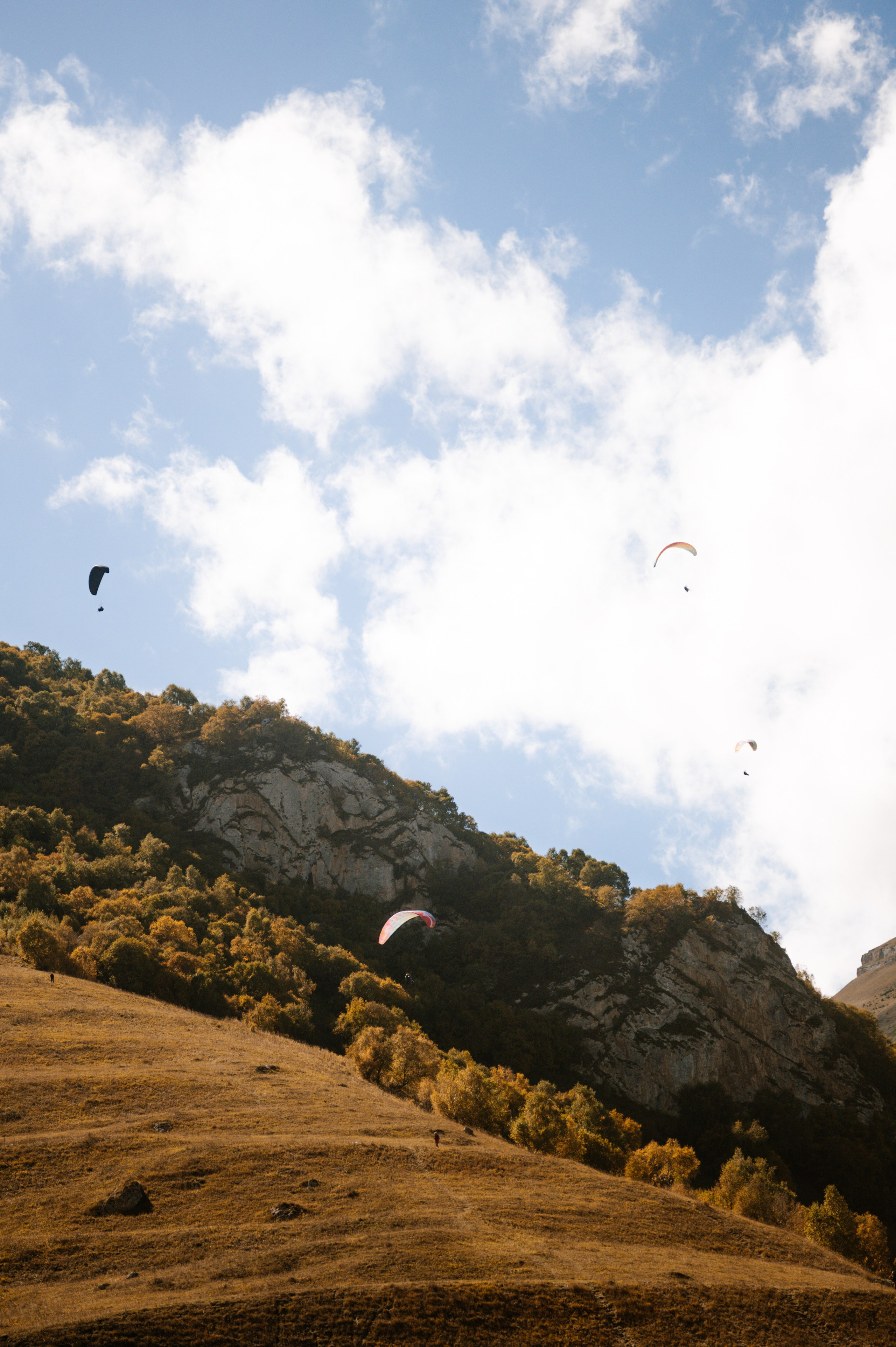Выездные проекты. Сайт фотографа Данилы Пащенко