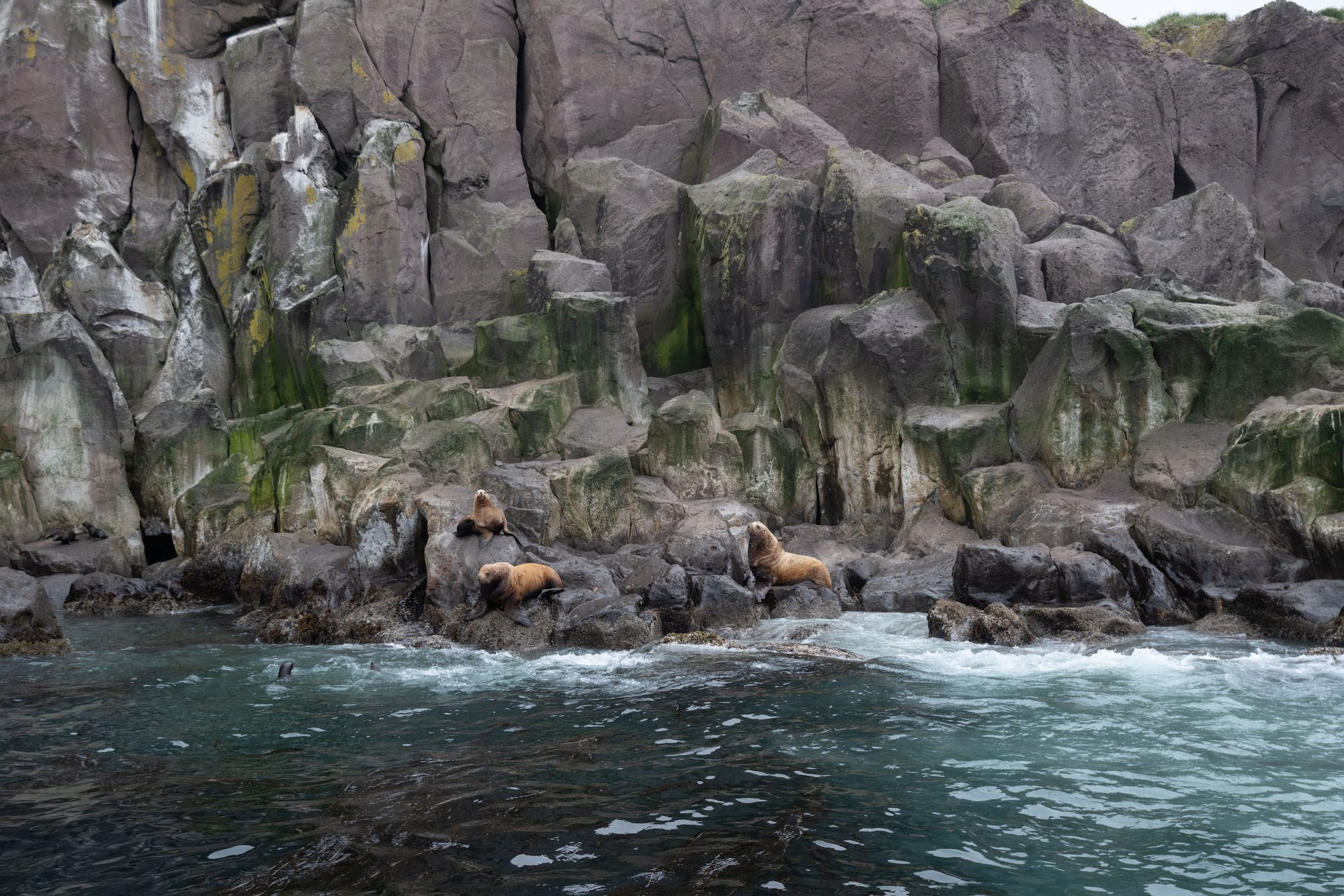 Фототур на северные Курилы 2026