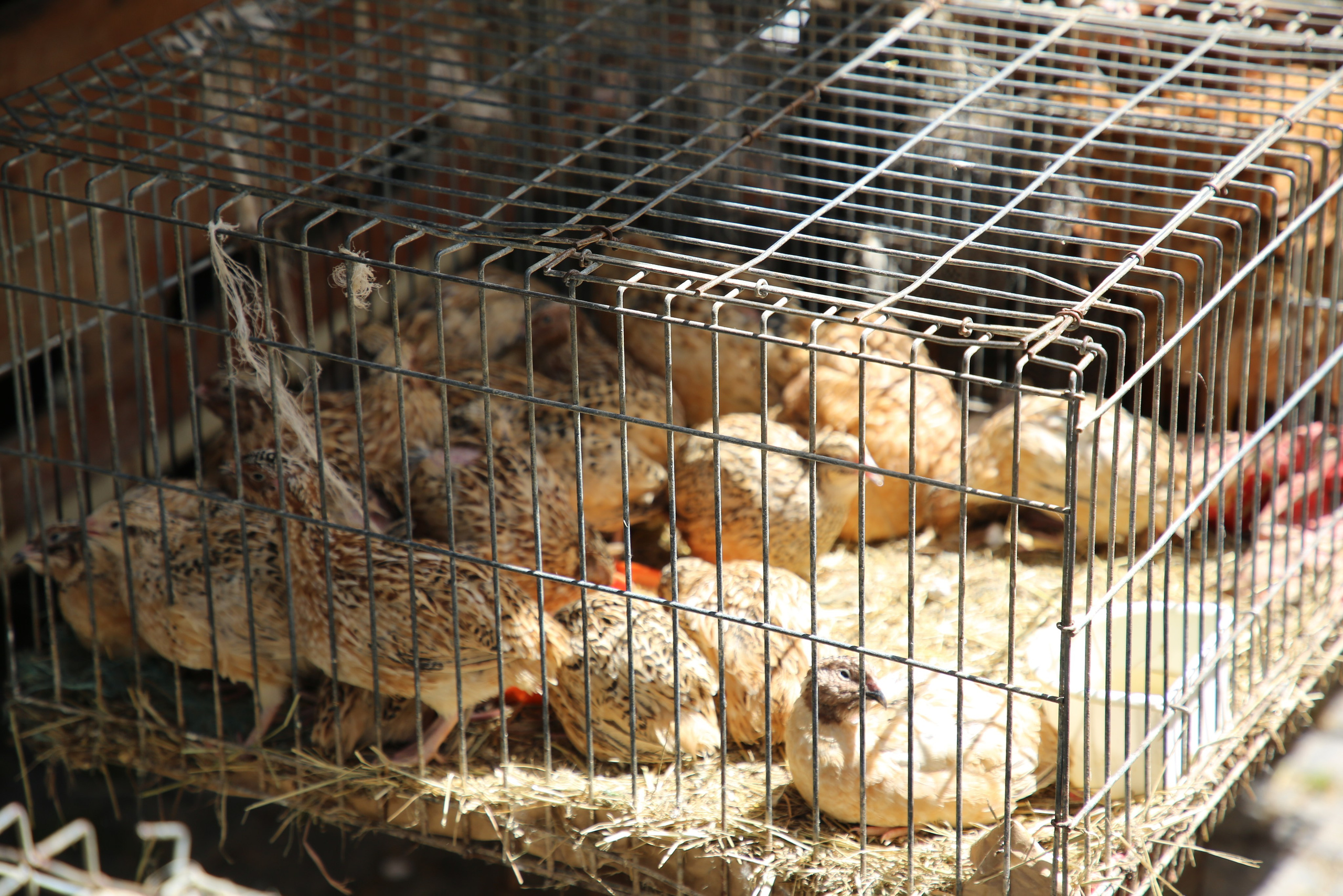 Espihnio, Portugal. Andrey Filippov Photographer