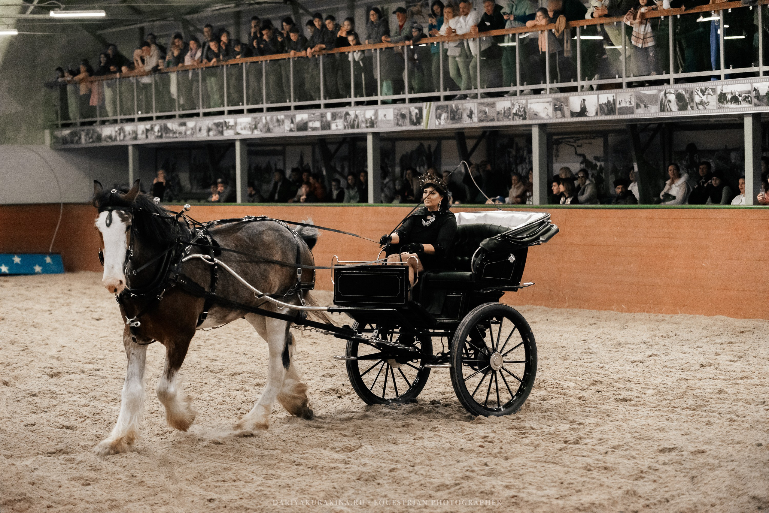 Конное представление «Дыхание Звёзд». Конный фотограф Куракина Дарья • Фотосессии с лошадьми