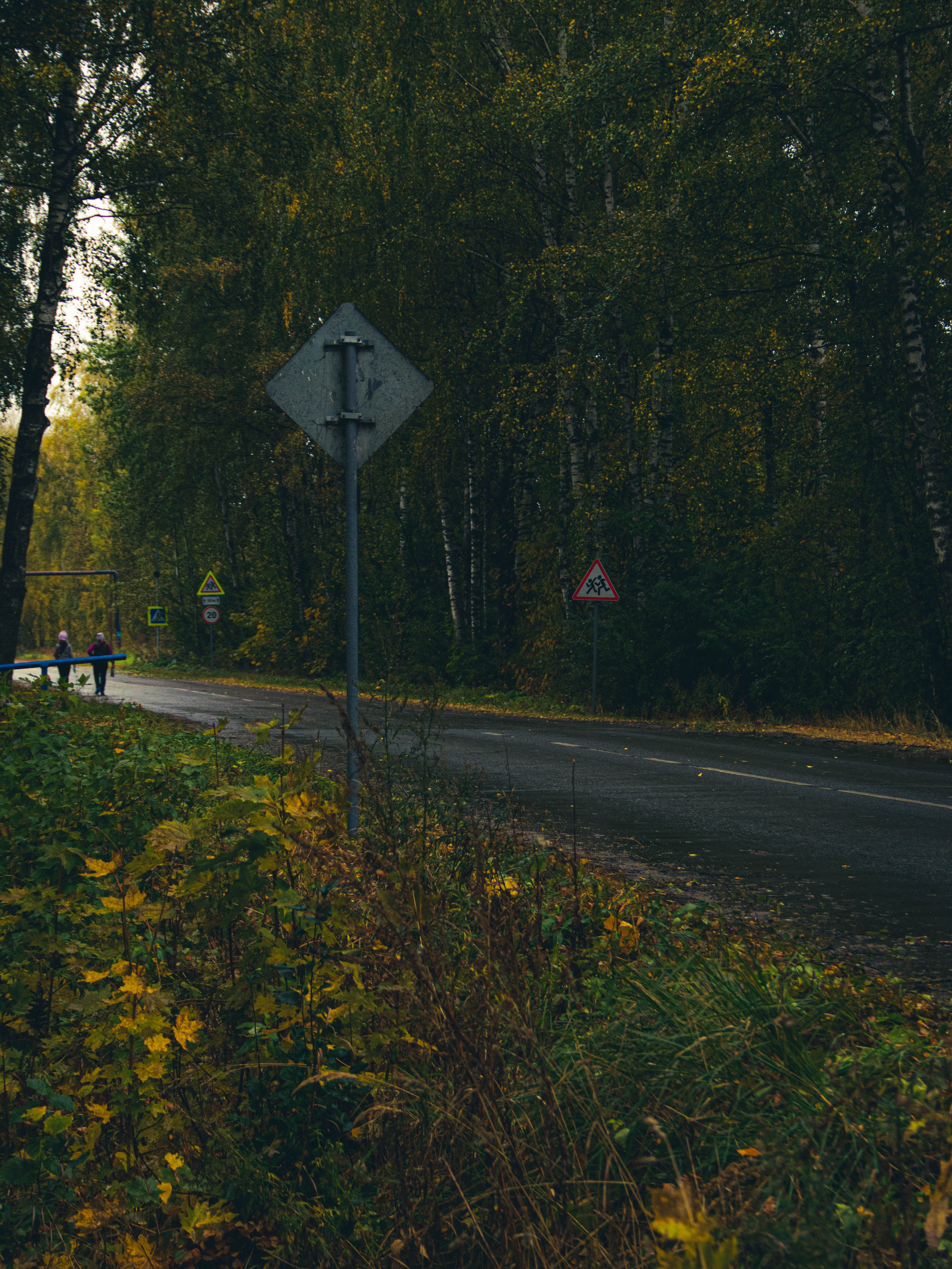 Село Петрилово (28.09.24). «Матрица»
