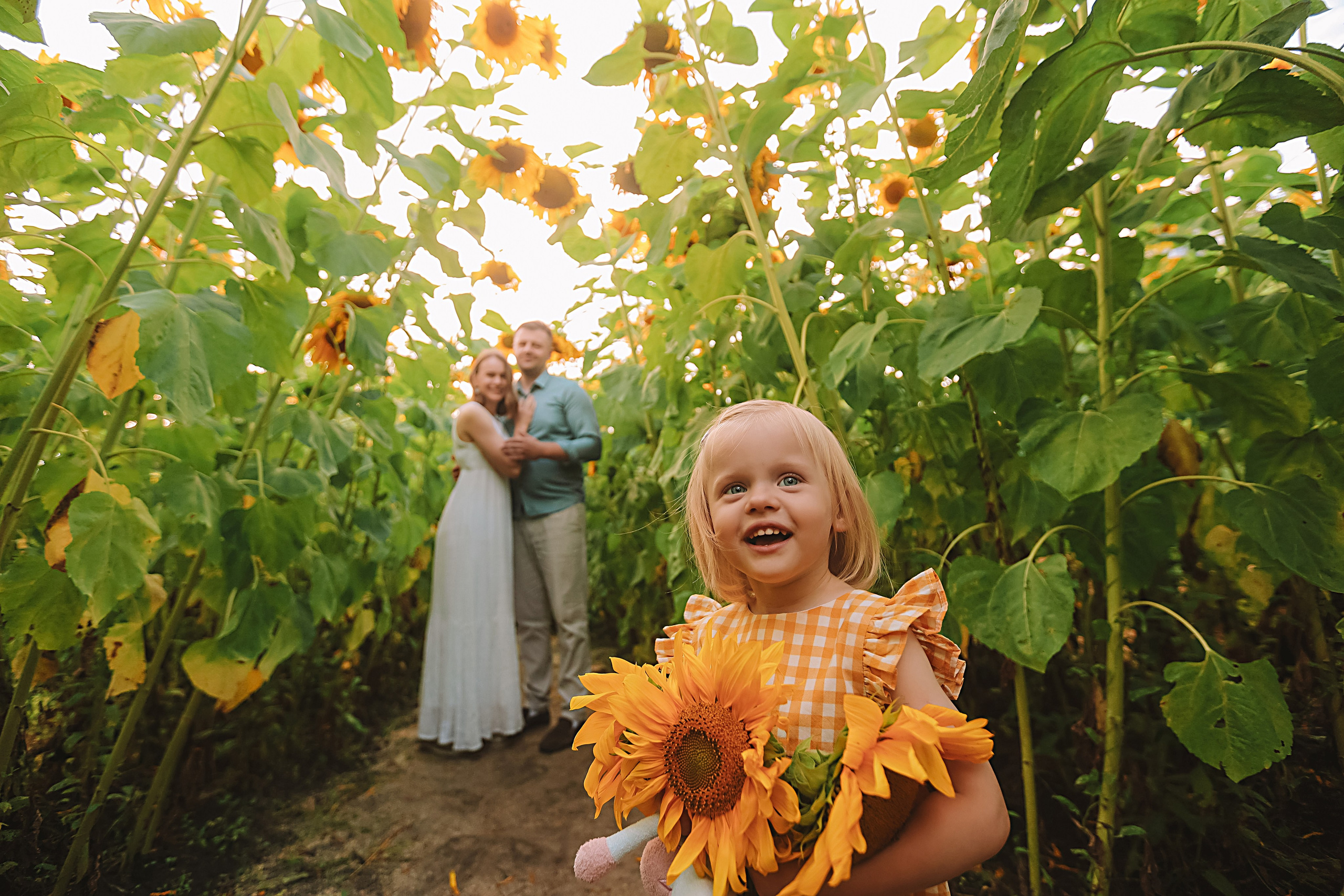 Подсолнухи. Семейный фотограф Тюмень, фотограф на роды Салмина Мария