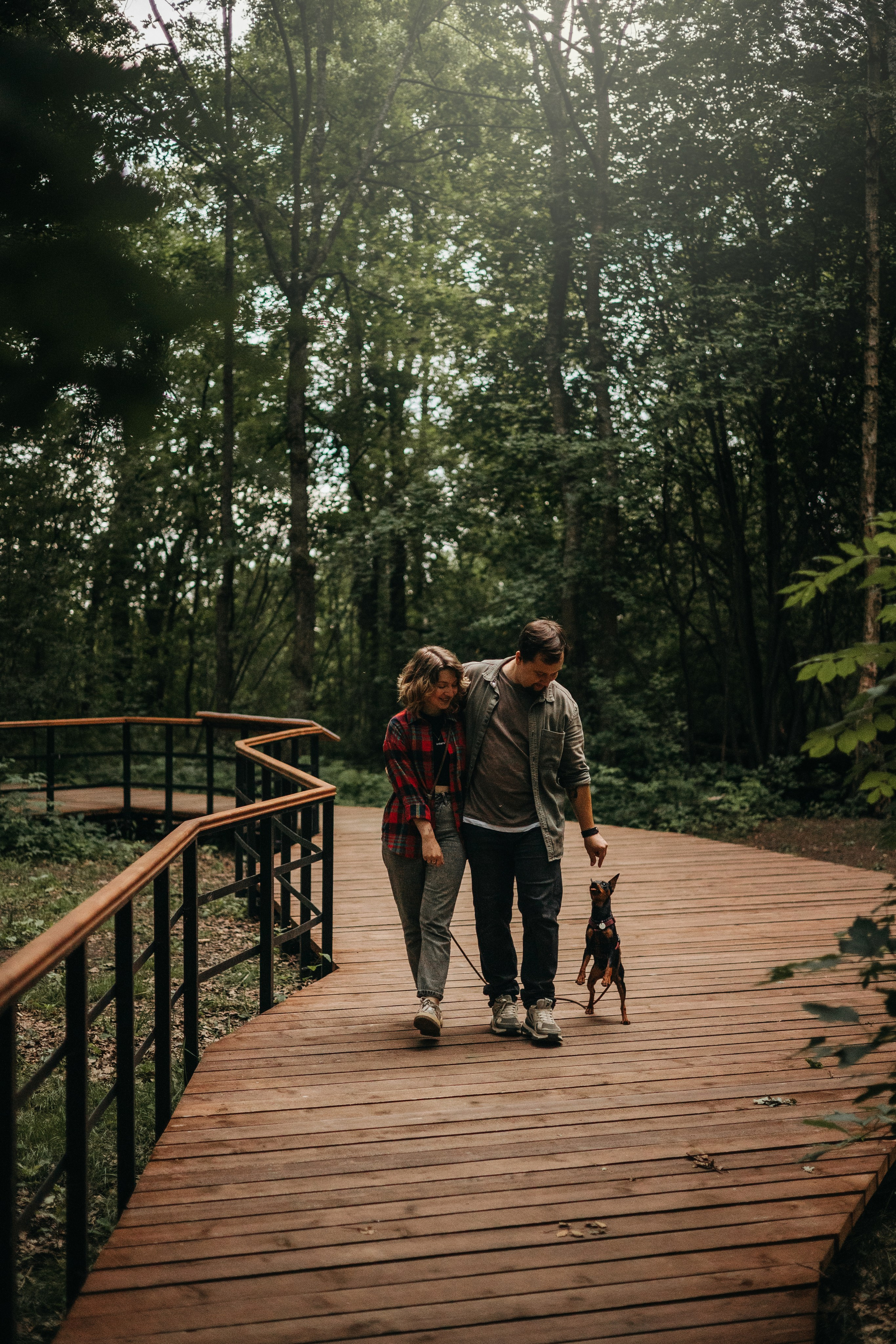 Сириус и его семья. Фотограф — Анималист | Санкт-Петербург