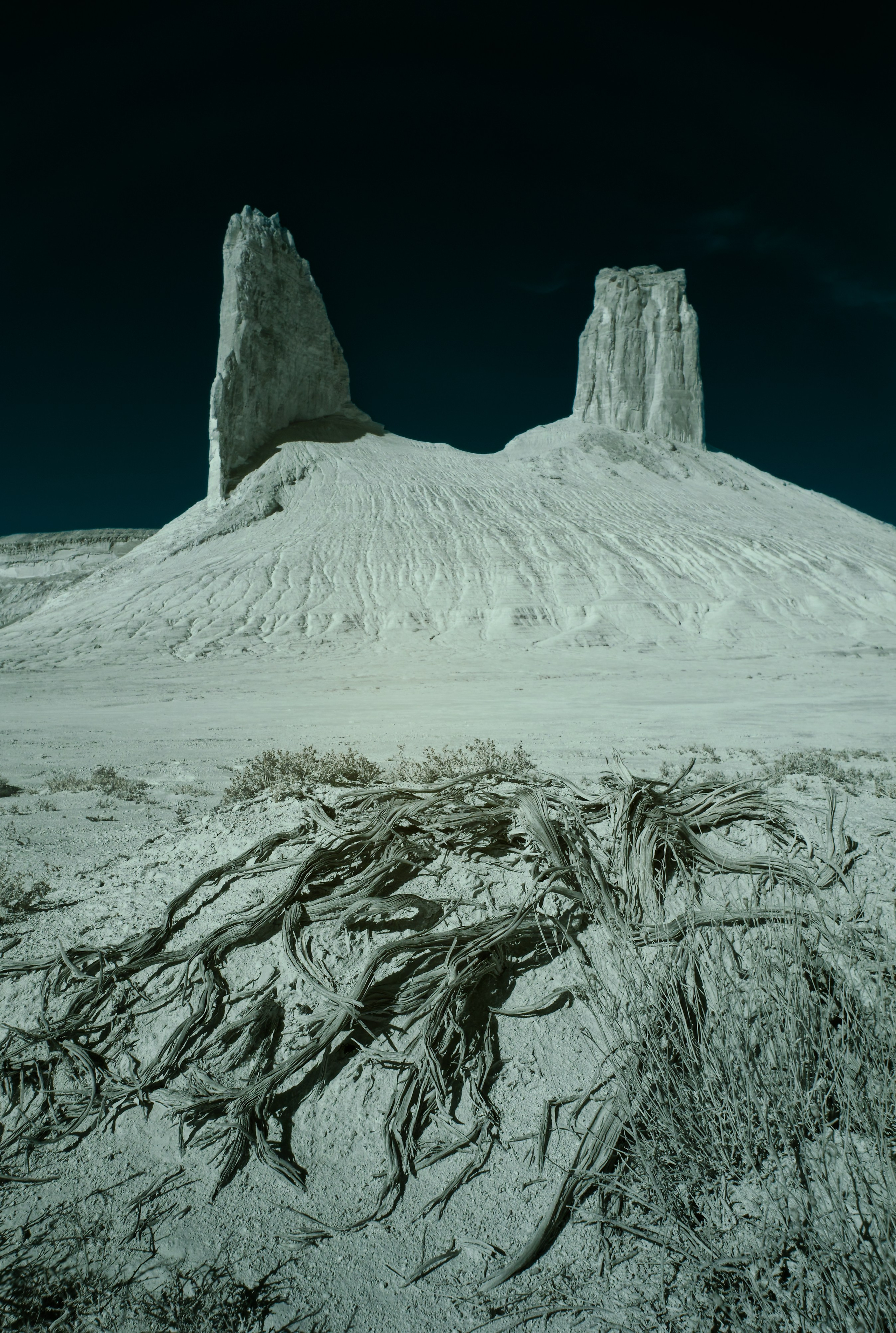 Вертикальные скалы на заднем плане и сухой куст на переднем