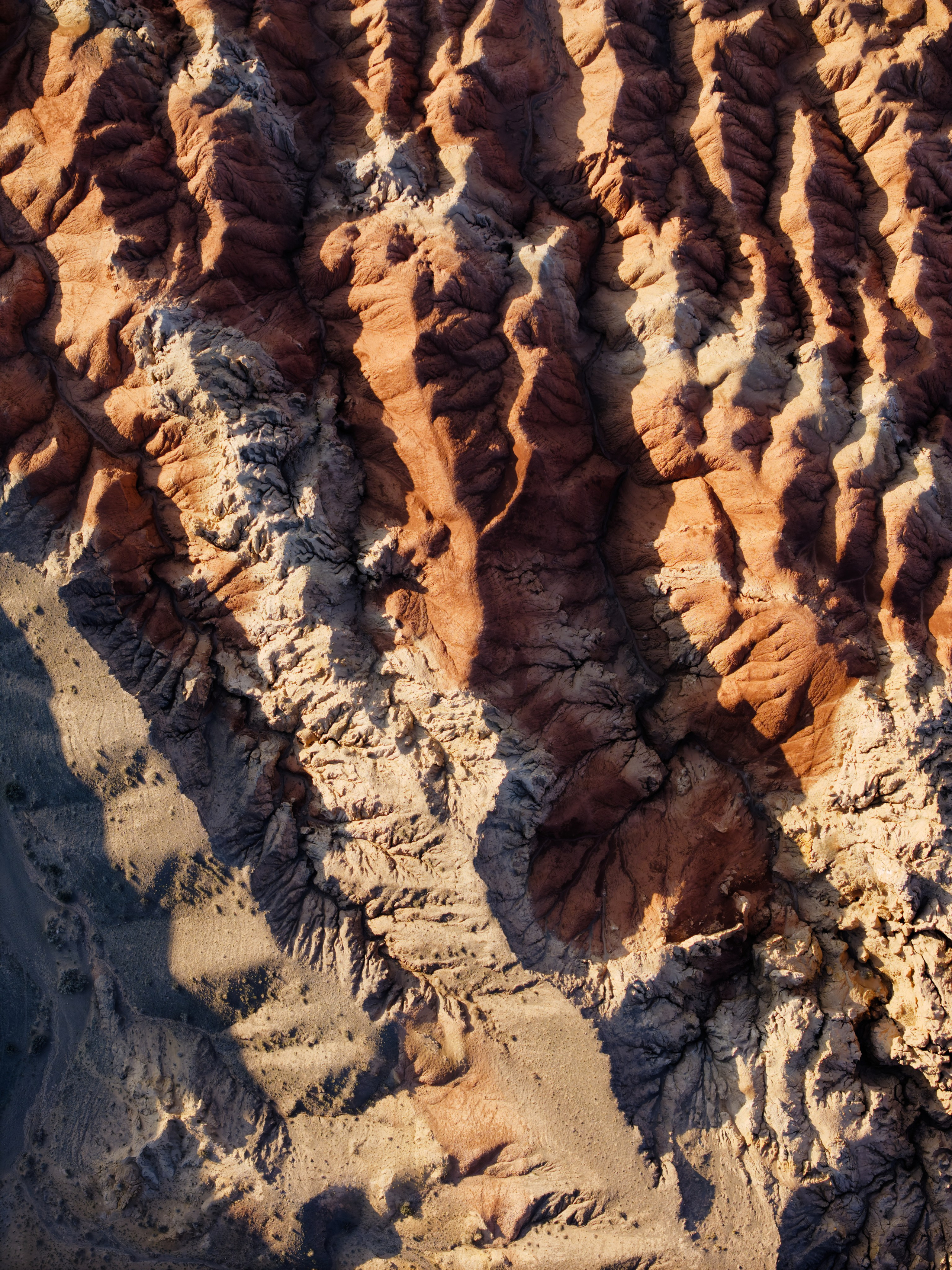 Экспедиция в Монголию (Гоби). Семоха Валерий. Фотограф
