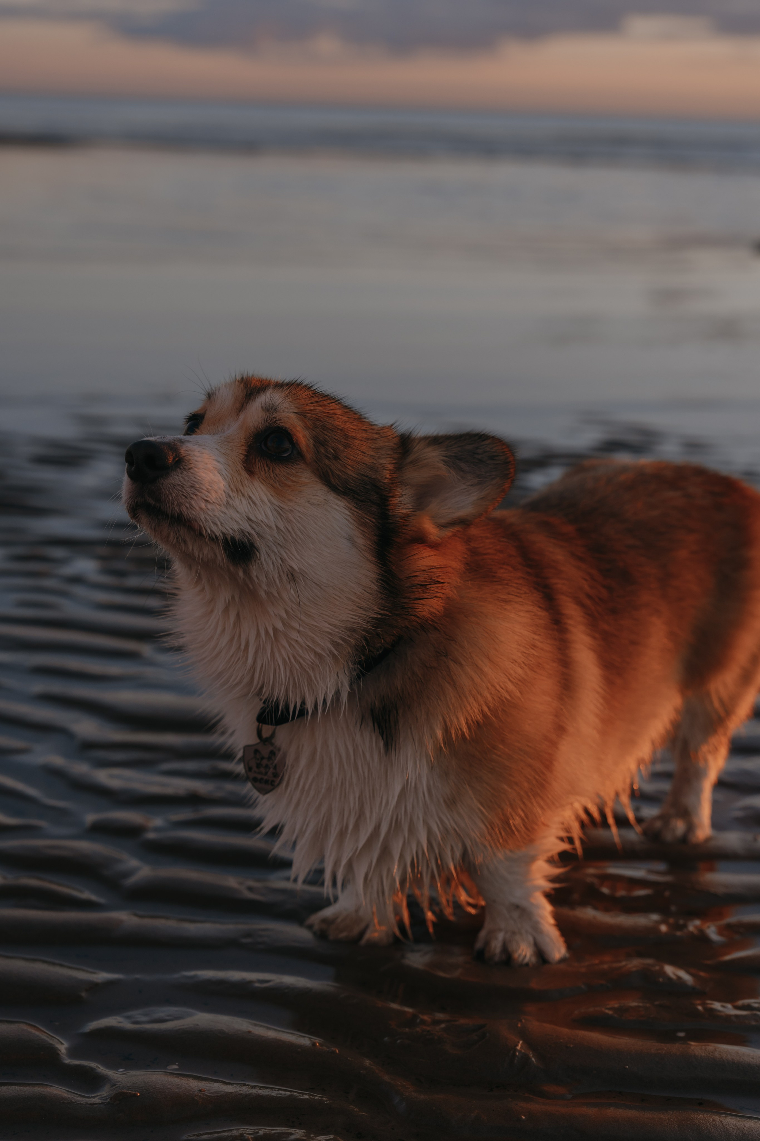 Семейная фотосъемка в Архангельске и Северодвинске. Портретный и свадебный фотограф в Архангельске Елизавета Стрекаловская