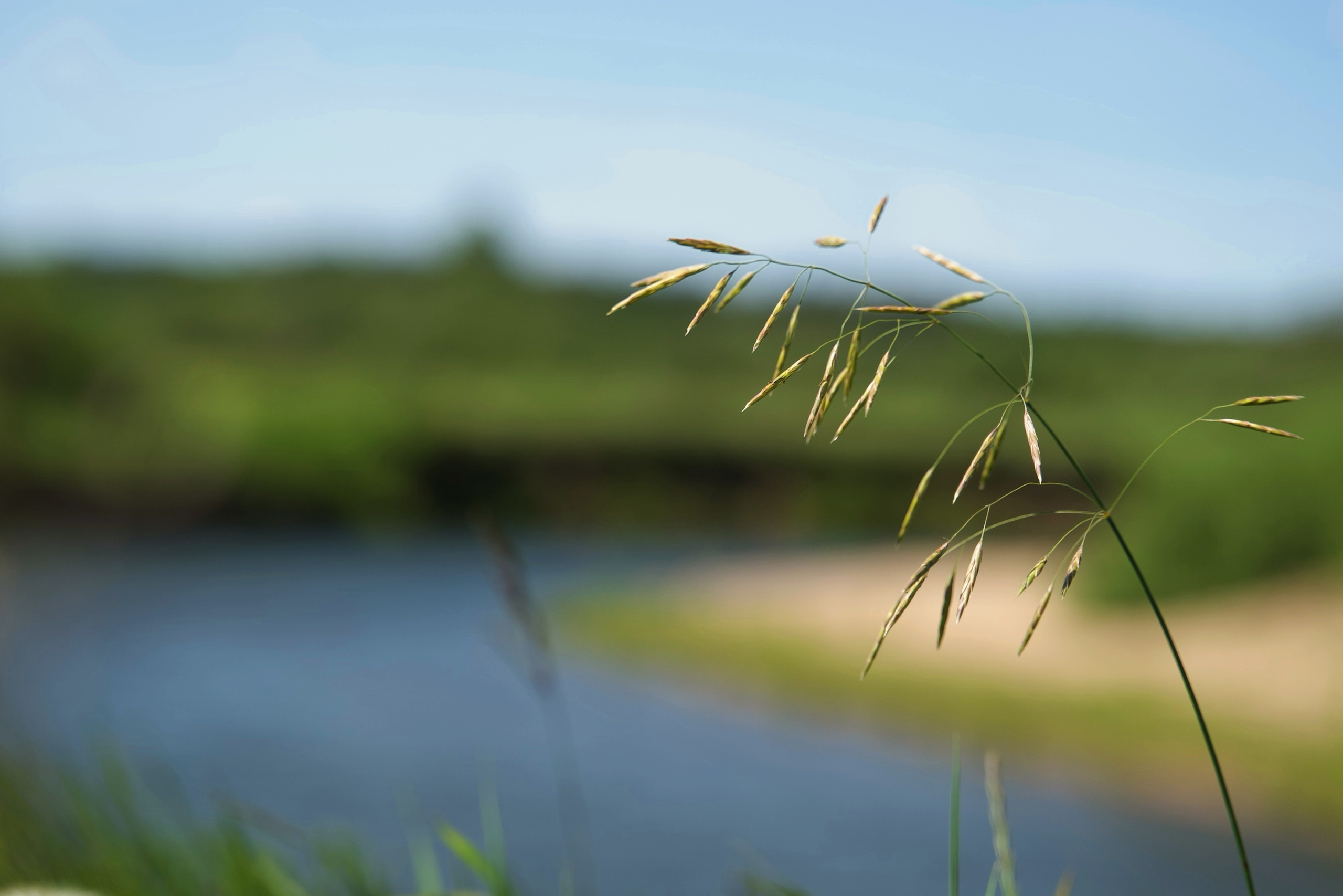 ПРИРОДА. Разноплановый фотограф из Москвы/Твери