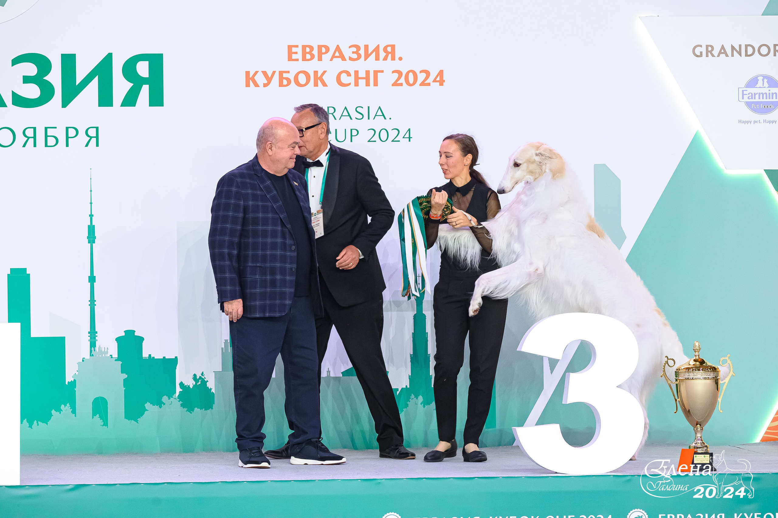 Главная. Фотограф анималист Елена Галдина г. Красноярск