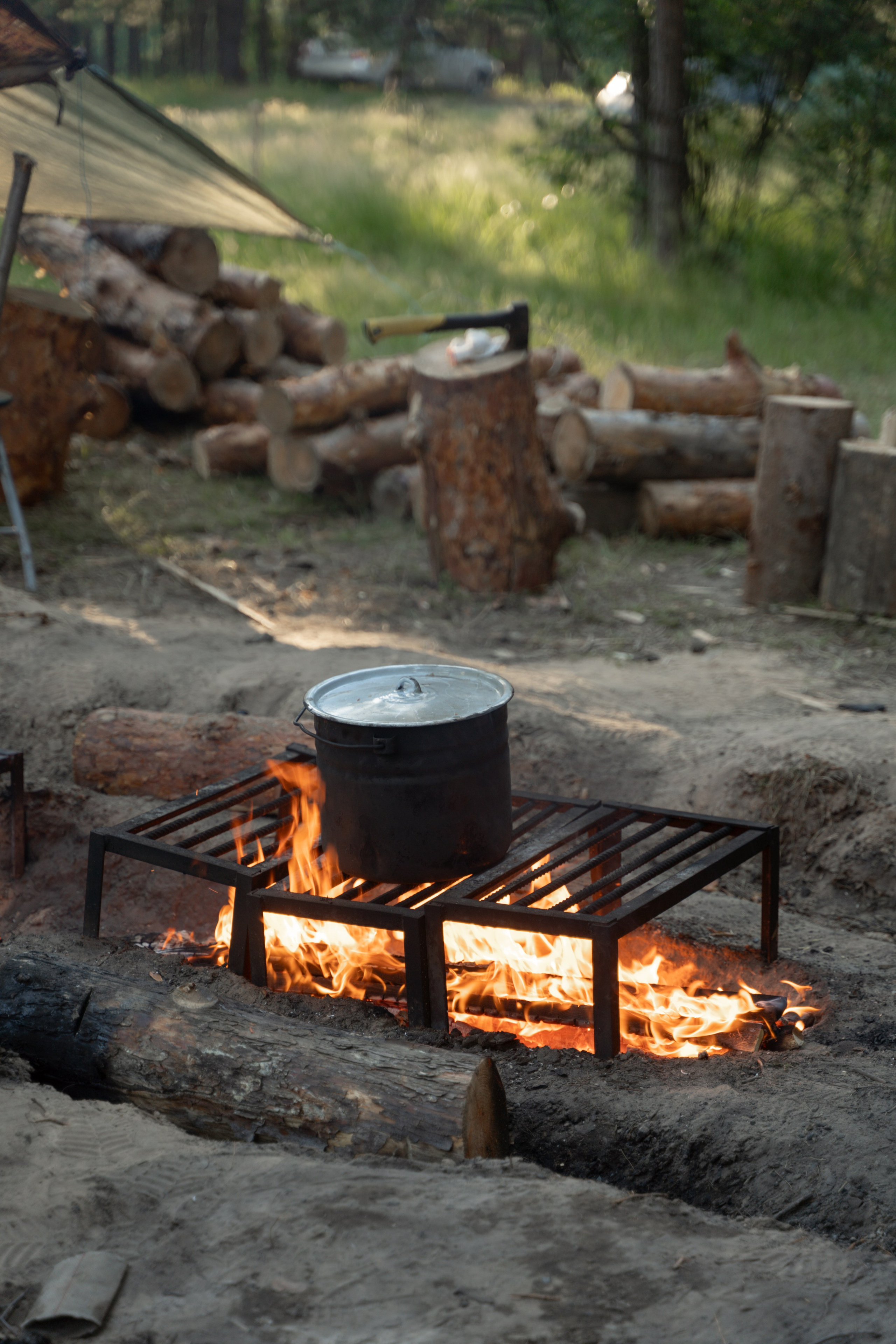Эко-сборы добровольцев «О! Пушка» в национальном парке «Мещерский» 2024. Фотограф Надежда Погребняк | Рязань | Москва