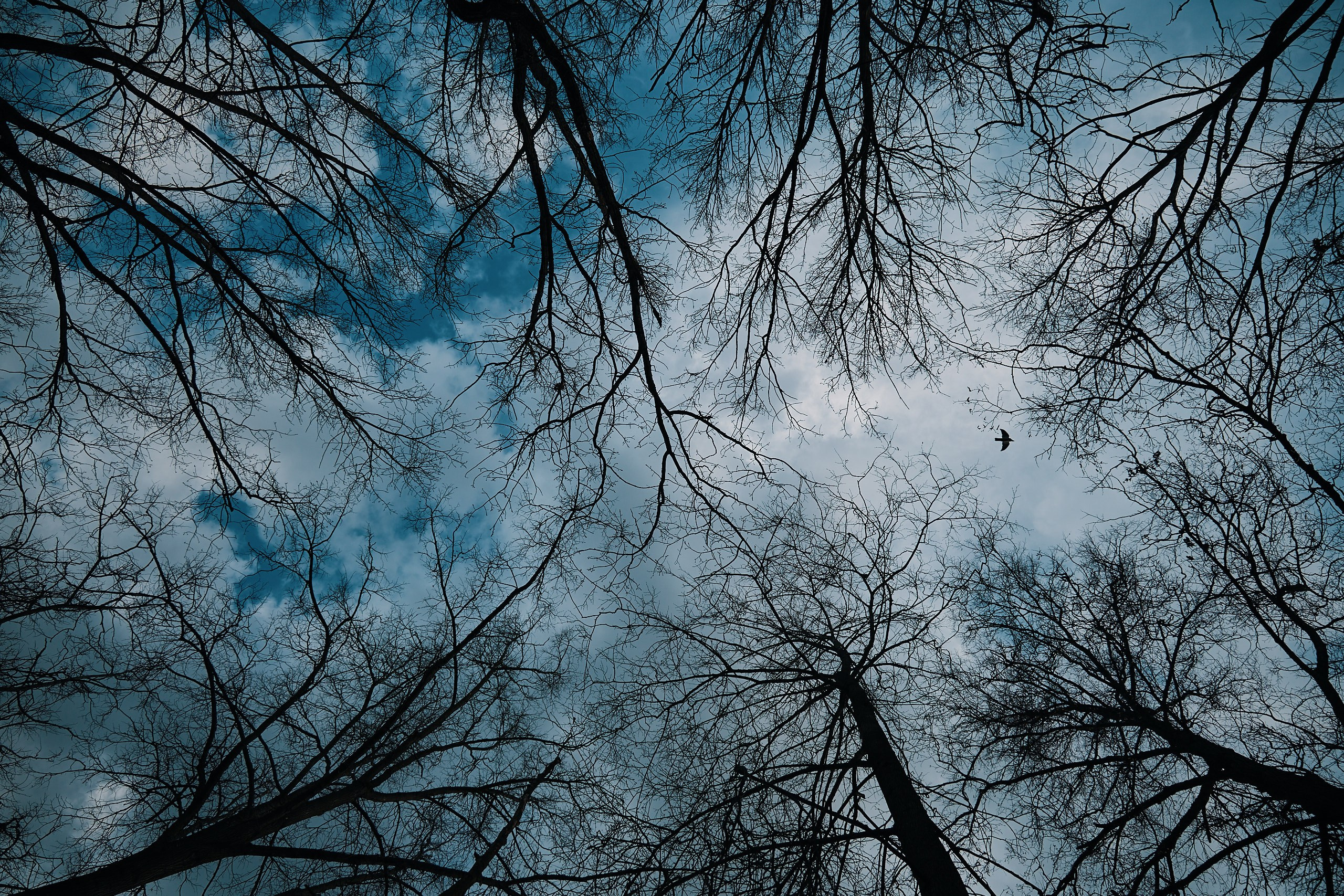 Прогулка по Царскому селу (Октябрьский бульвар). Фотограф Валерий Сабрам