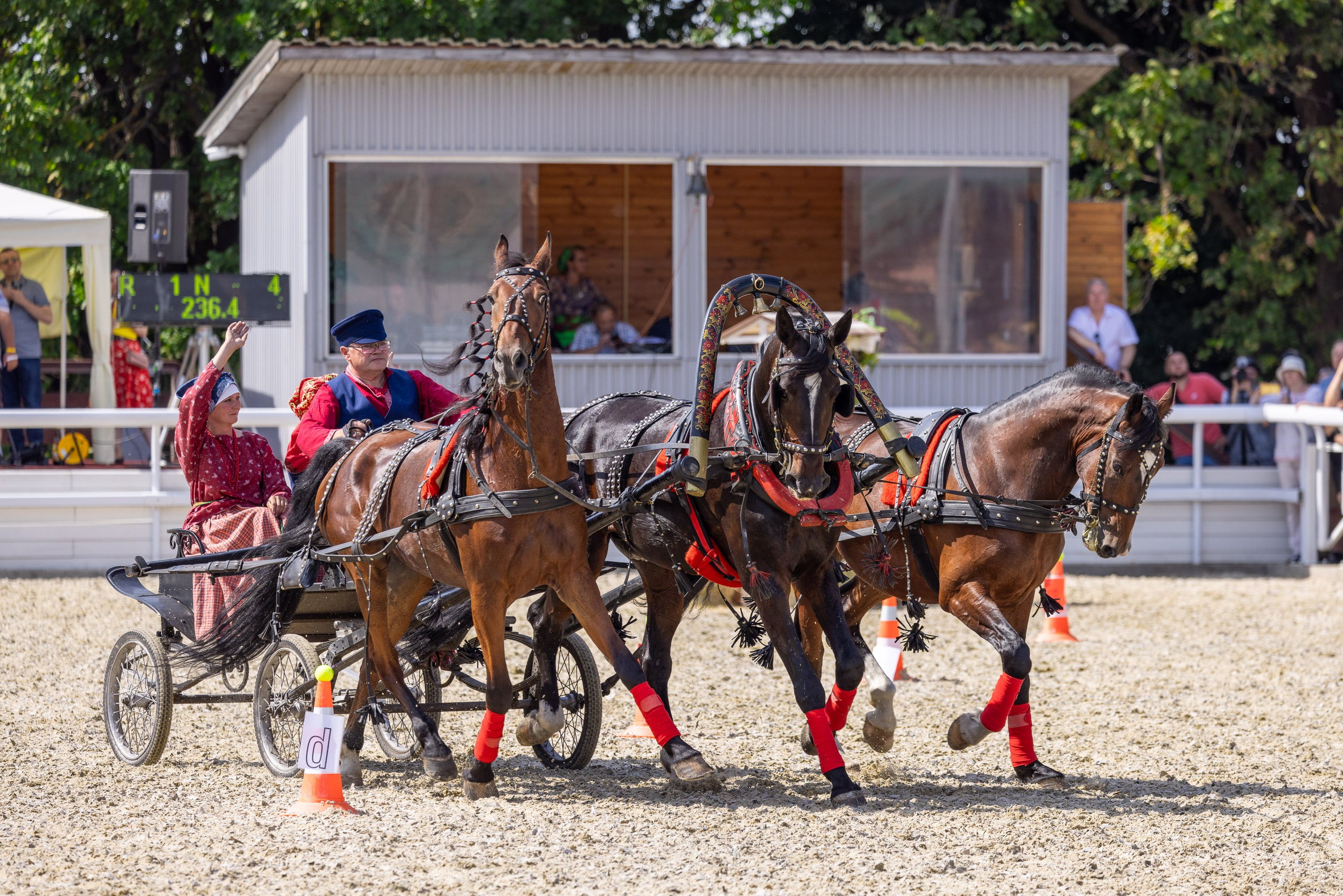 Конные выставки. Mrs.Aquarelia Конный фотограф Марианна Леонтьева
