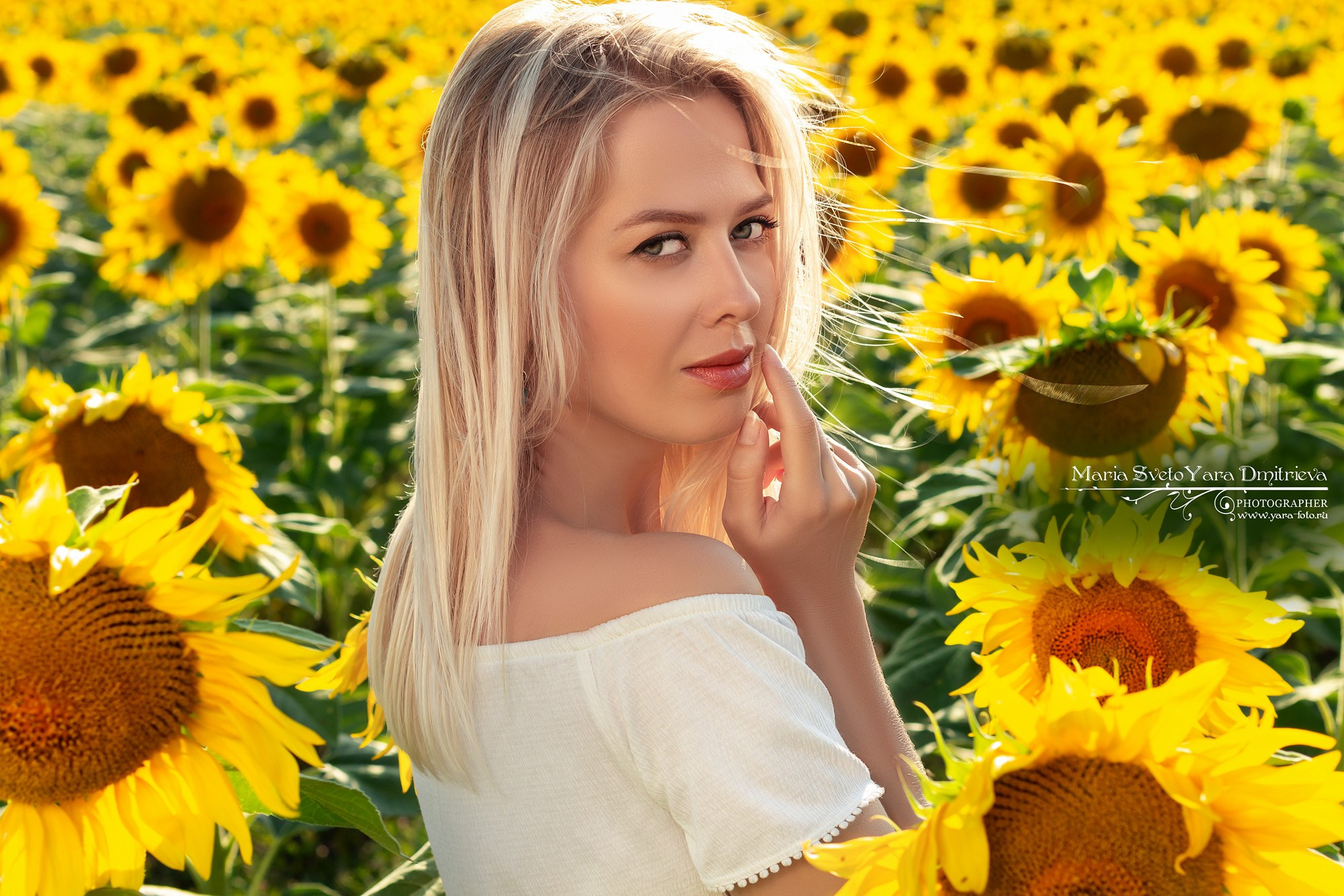 выездные фотосессии в цветущие поля подсолнухов для женщин 35+