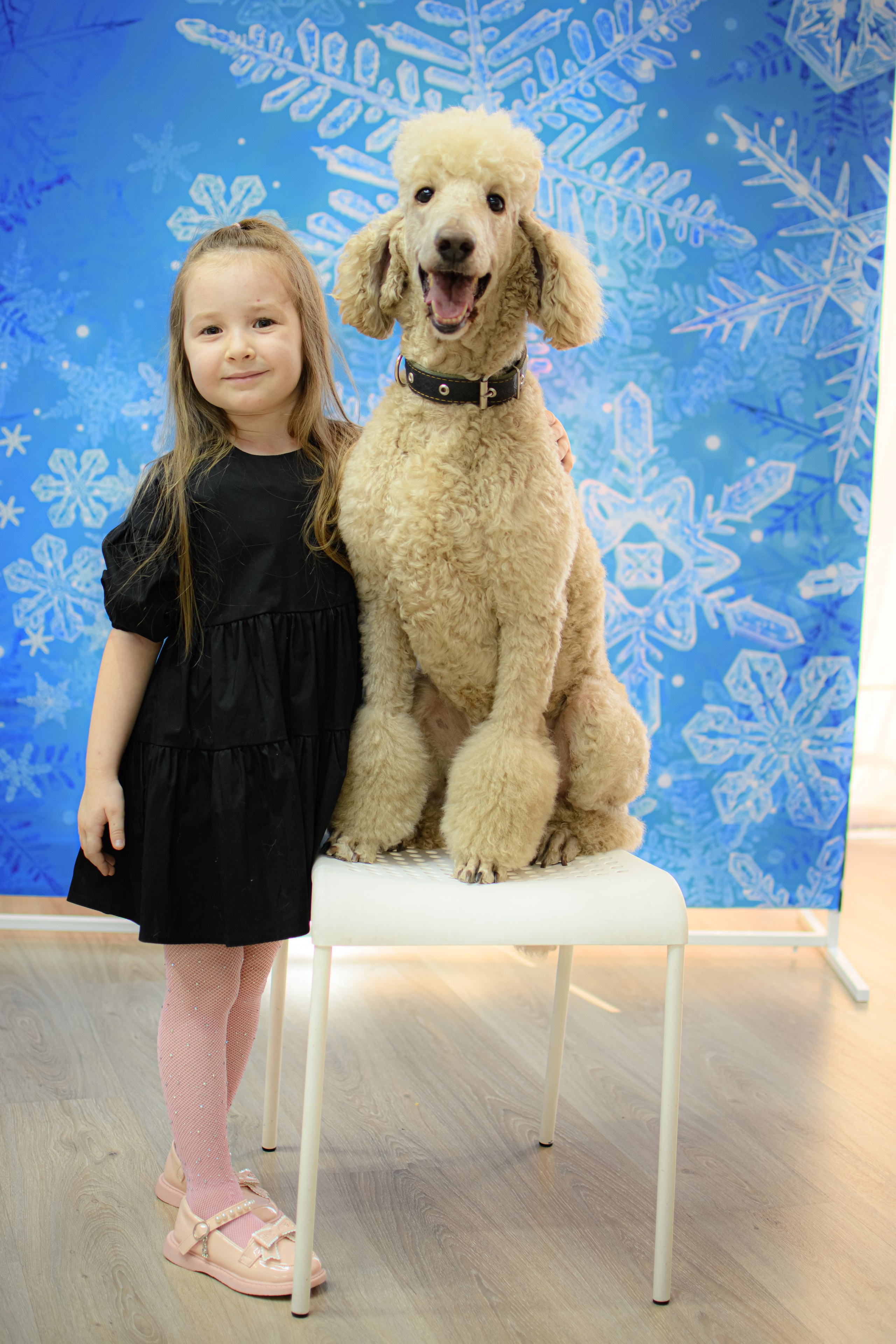 HAPPY NEW YEAR. Photokarish