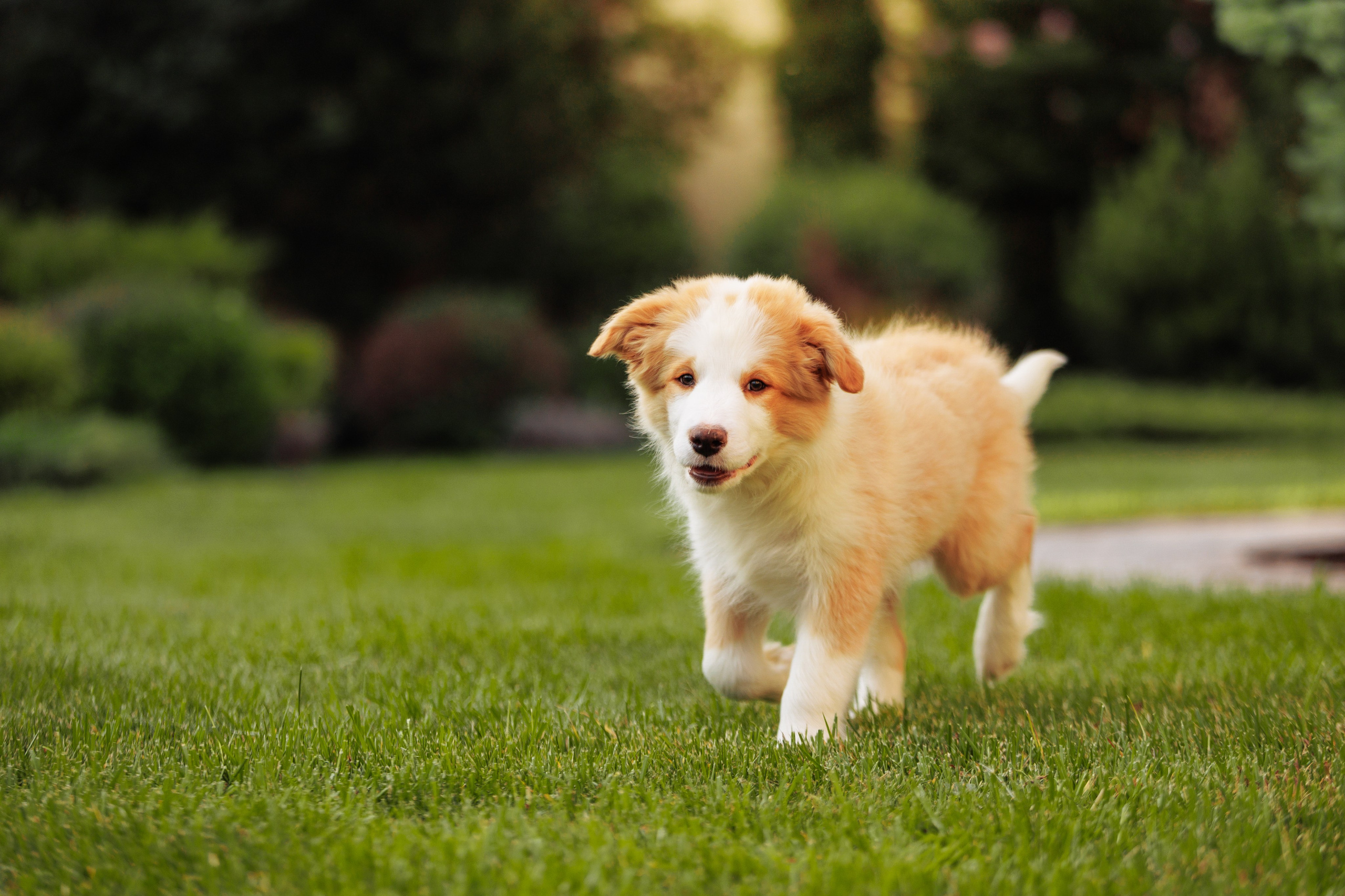 СОлнечные. О нас