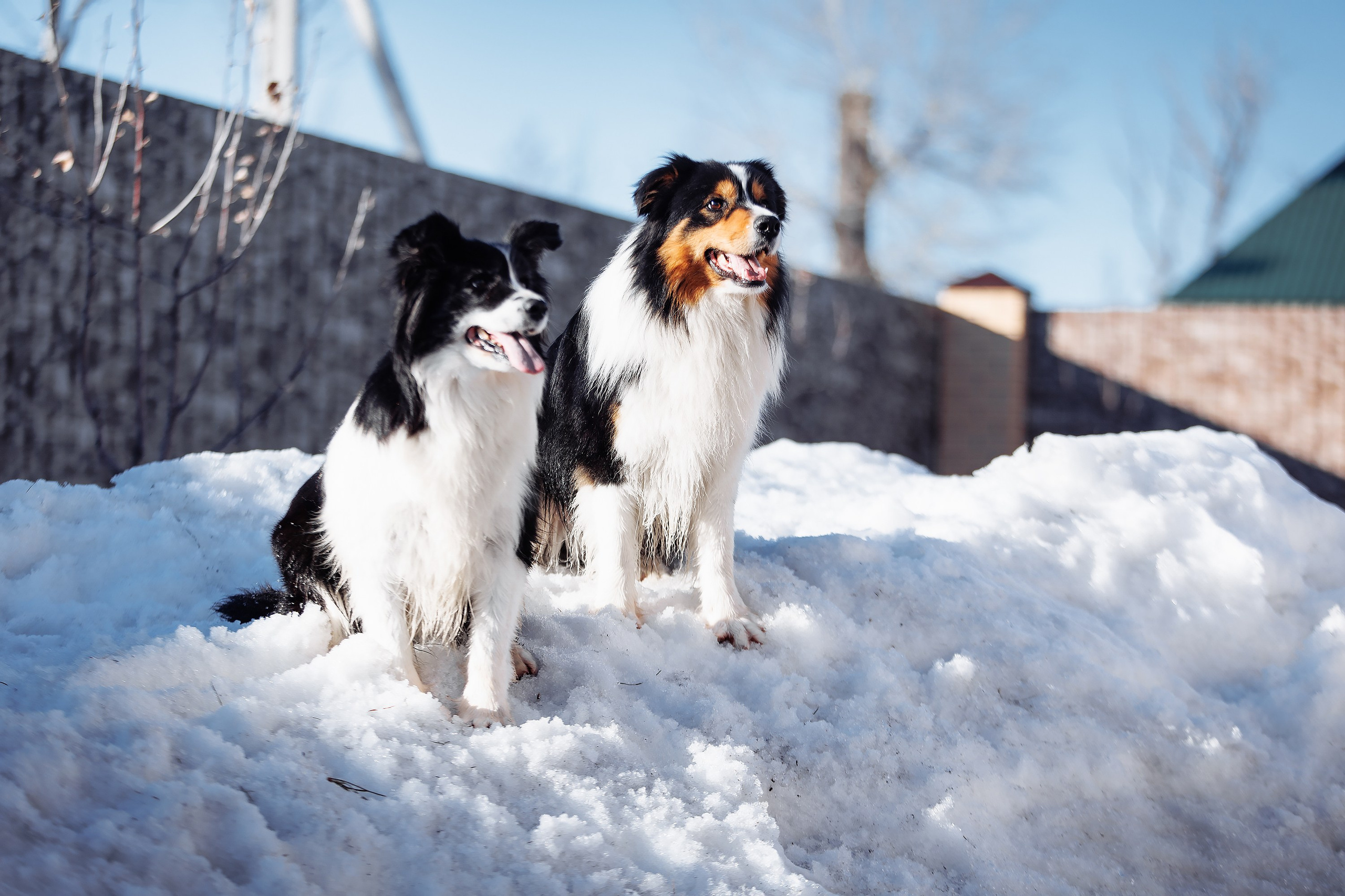 Пока таяло. О нас